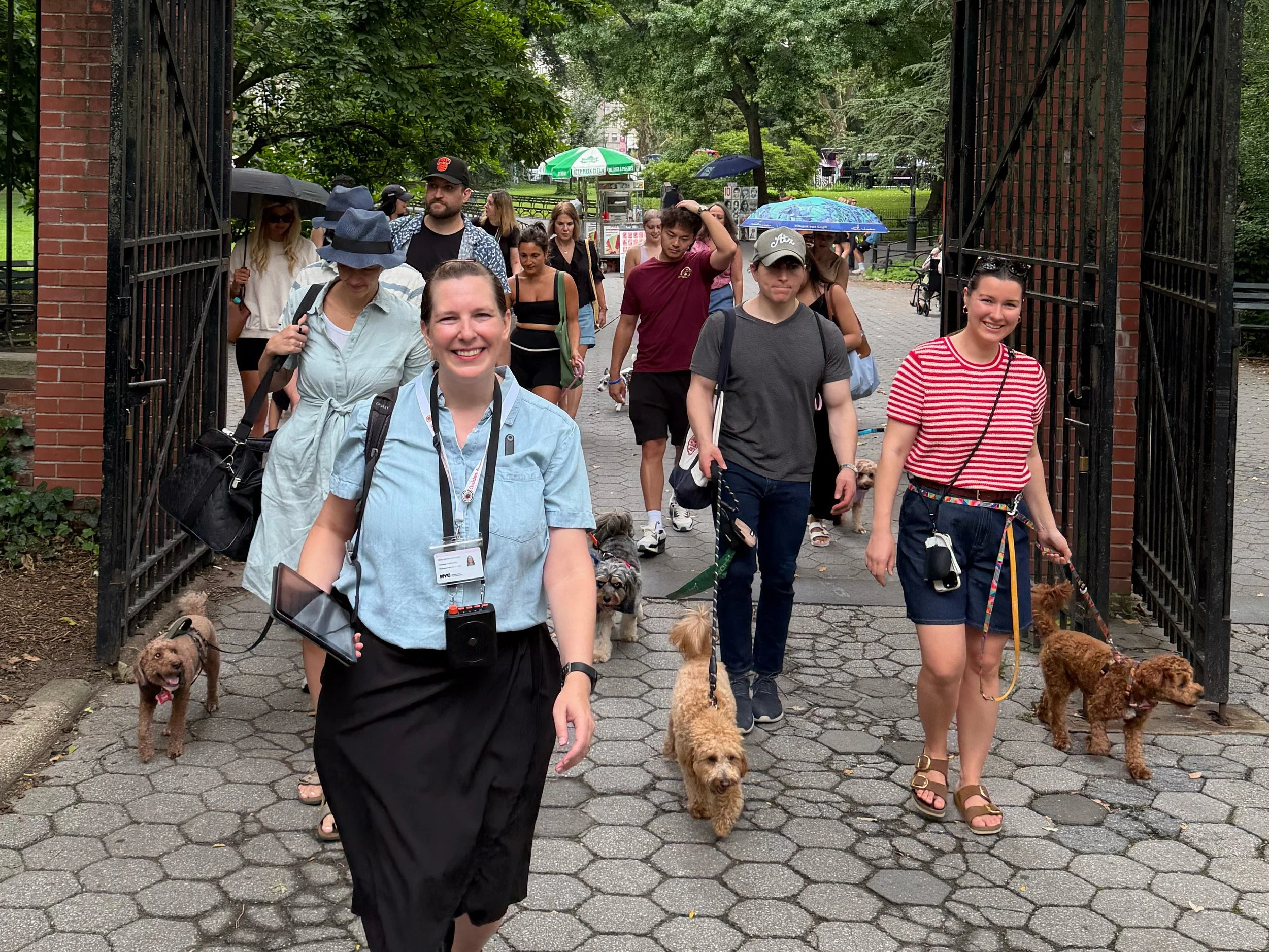 Tour guide and group walking toward camera with Cavapoo dogs