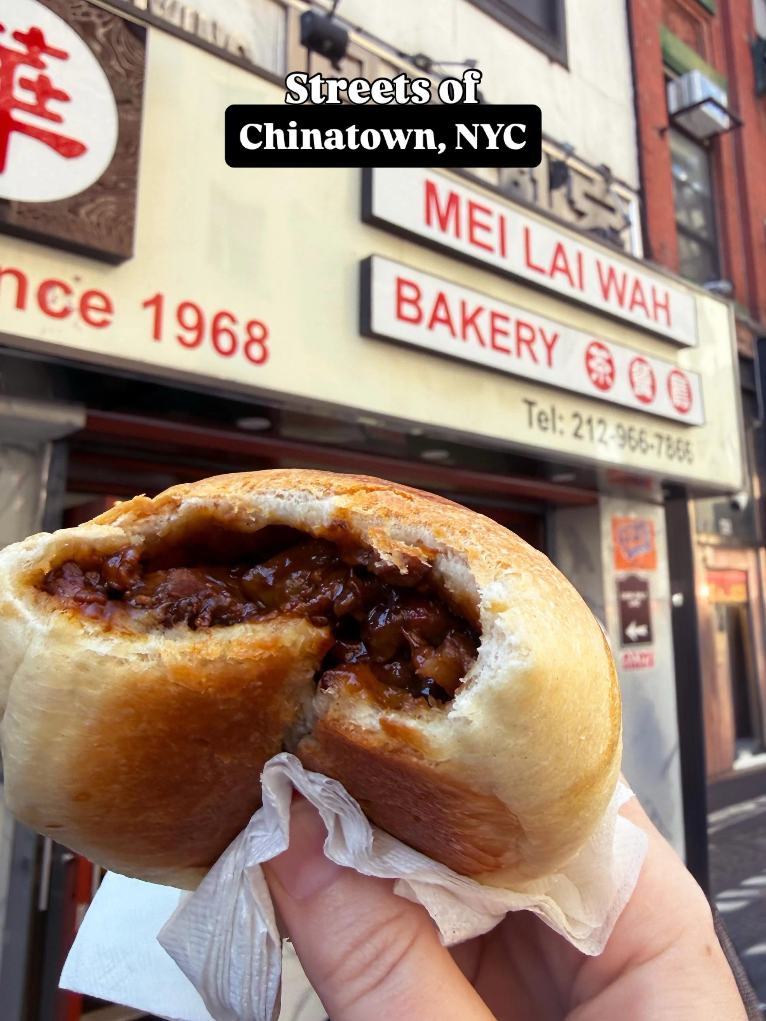 Chinatown, Manhattan, is one of my favorite neighborhoods. Would it be in your ideal NYC itinerary?

1. Mei Lao Wah, pork bun
2. Mosco St
3. Mosco St
4. Spongies
5. Pell St
6. Pell St w/ Noodle Pegasus