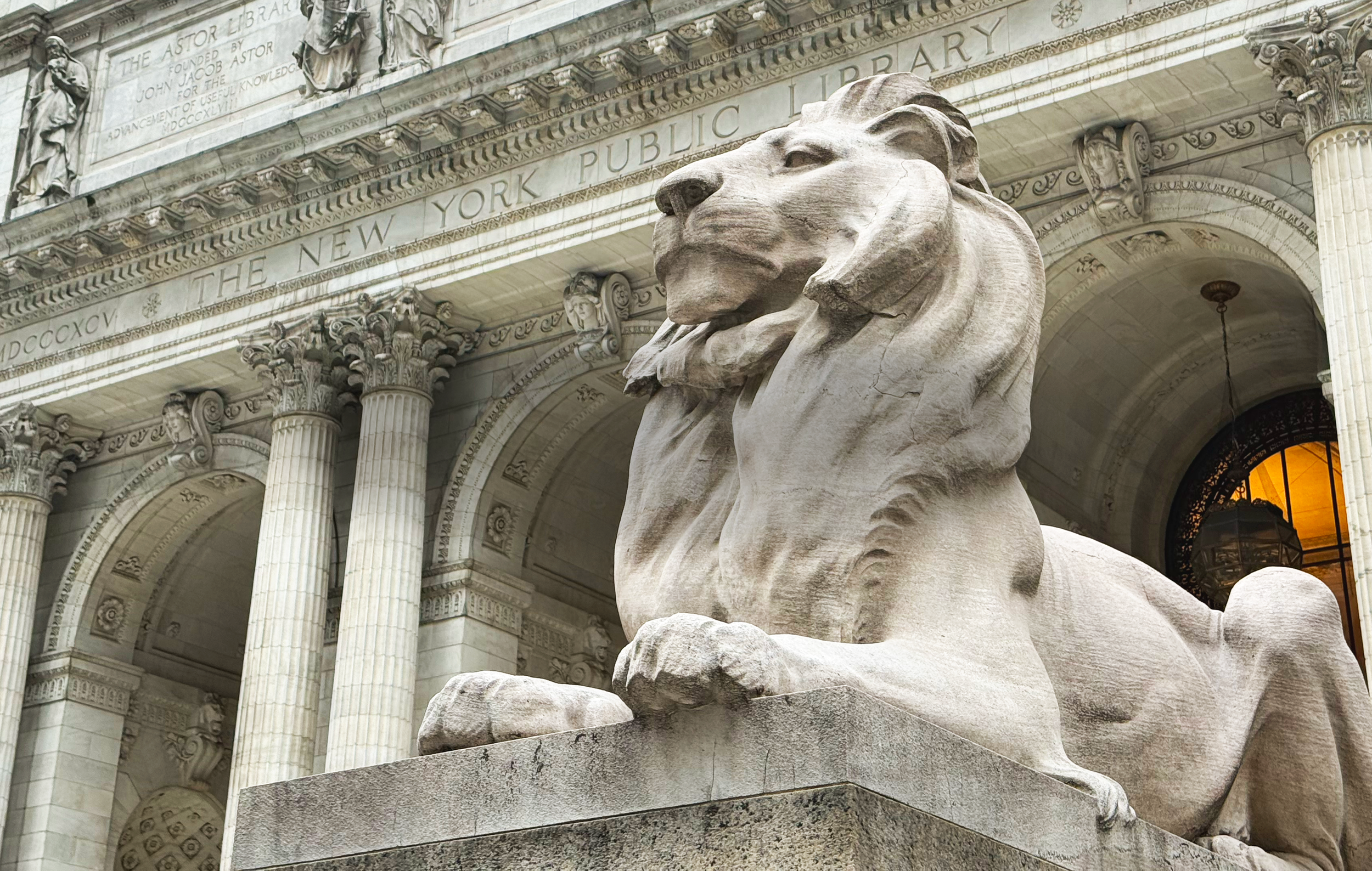 Close up of the New York Public Library's stone lion, Fortitude.