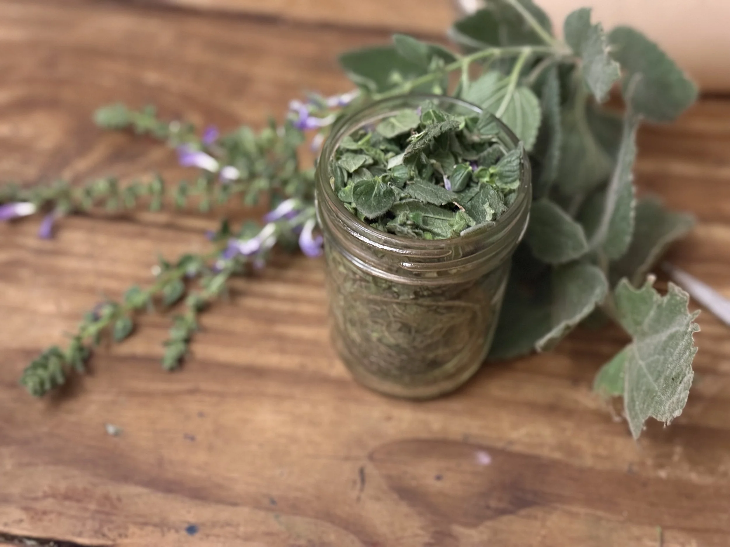 Skullcap Tincture (price per ounce)