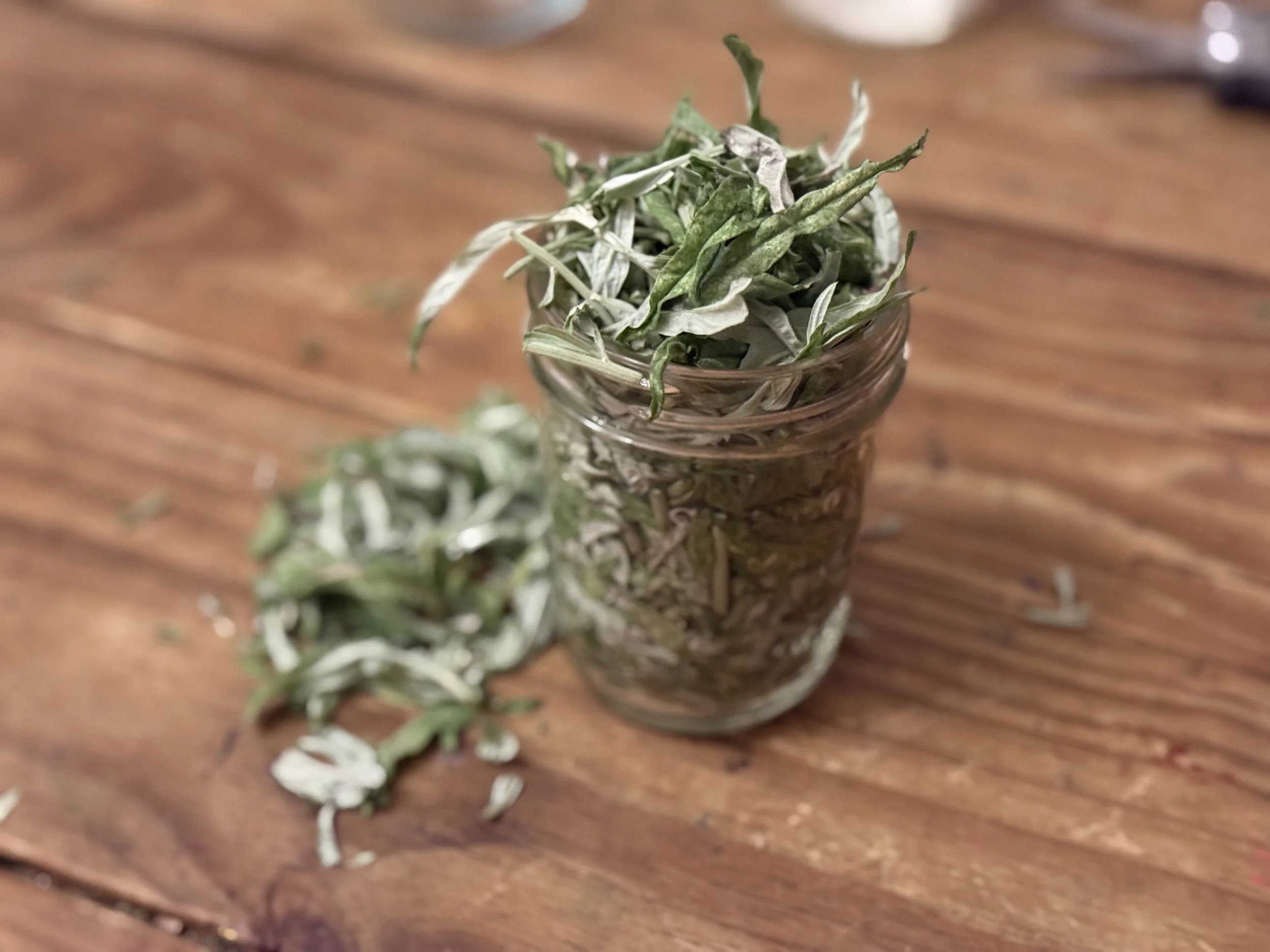 Mugwort (Esta Fiate) Tincture (price per ounce)