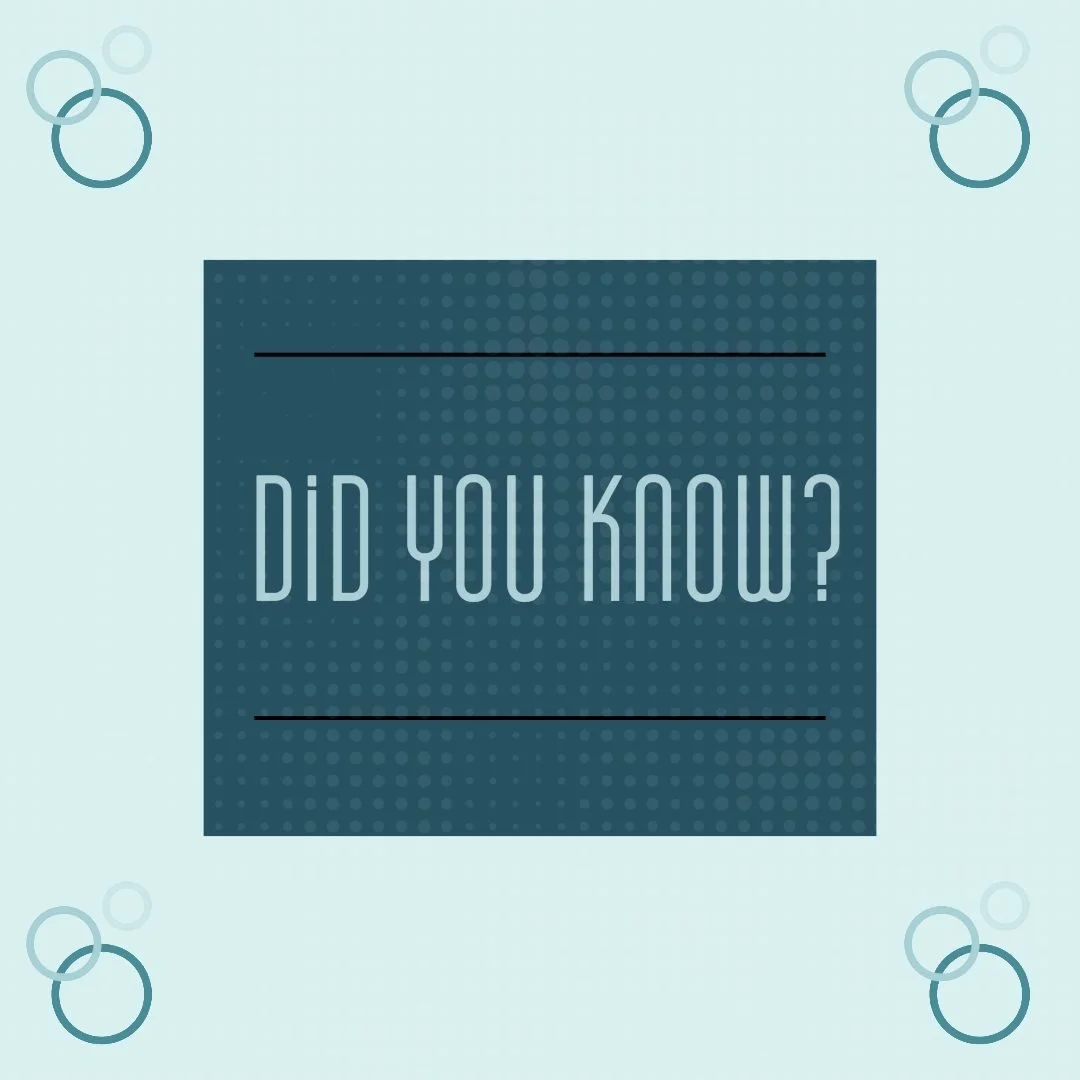 👨&zwj;🍳✨ Did You Know?

Our Young Chef category has been a launchpad for some incredible rising talent &mdash; and many have gone on to achieve even bigger success!

Some of our previous winners have competed in &mdash; and won &mdash; major region