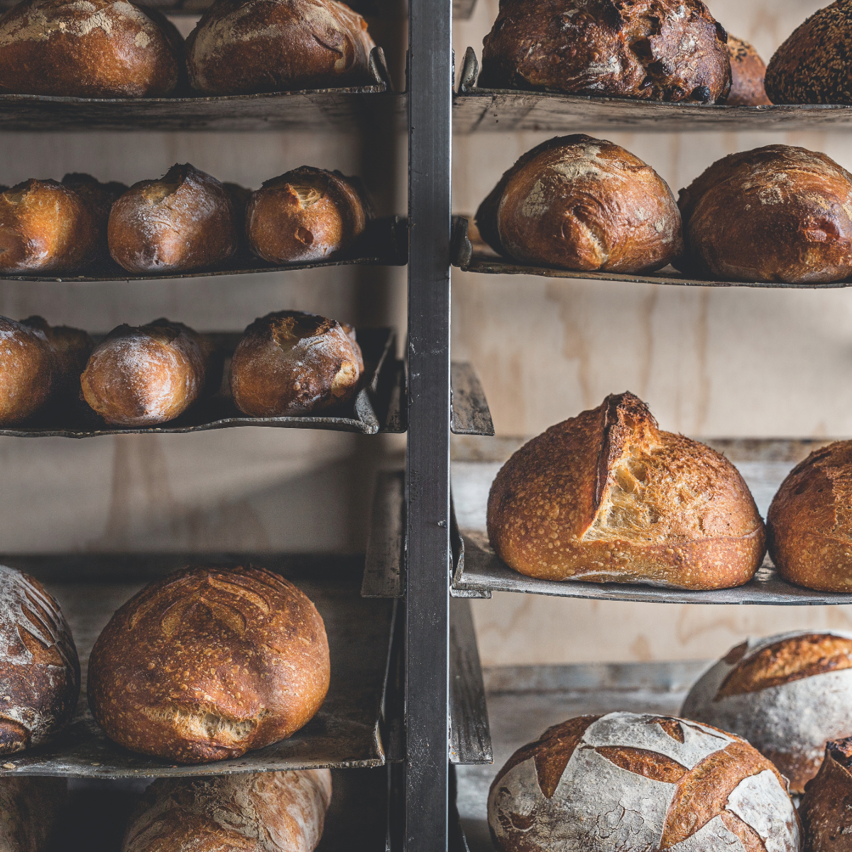 Bread Proper bake, structure, and finish