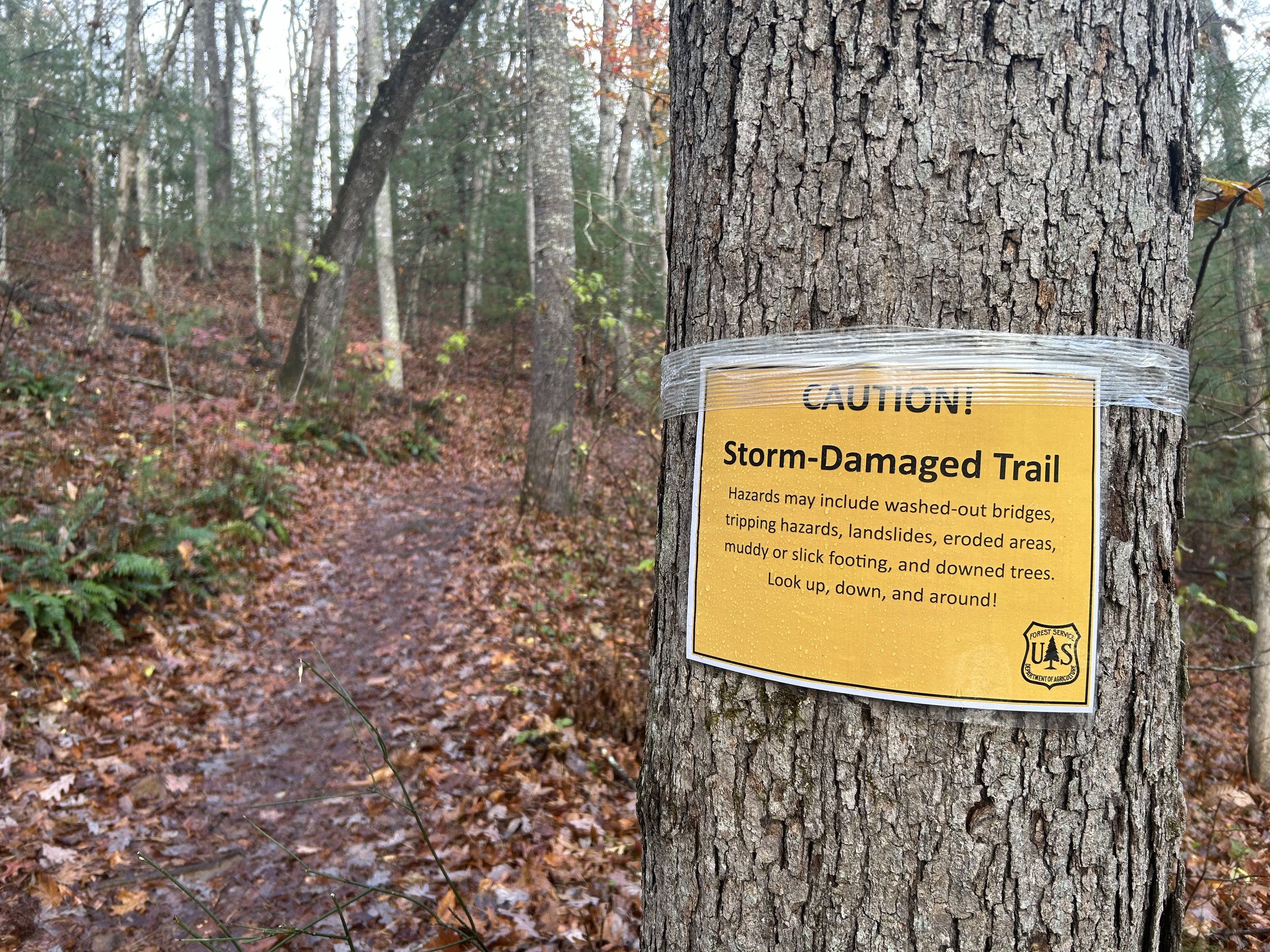 Motivation: How a hurricane is to blame (39ish weeks to go)