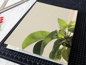 image-asset (36).jpeg