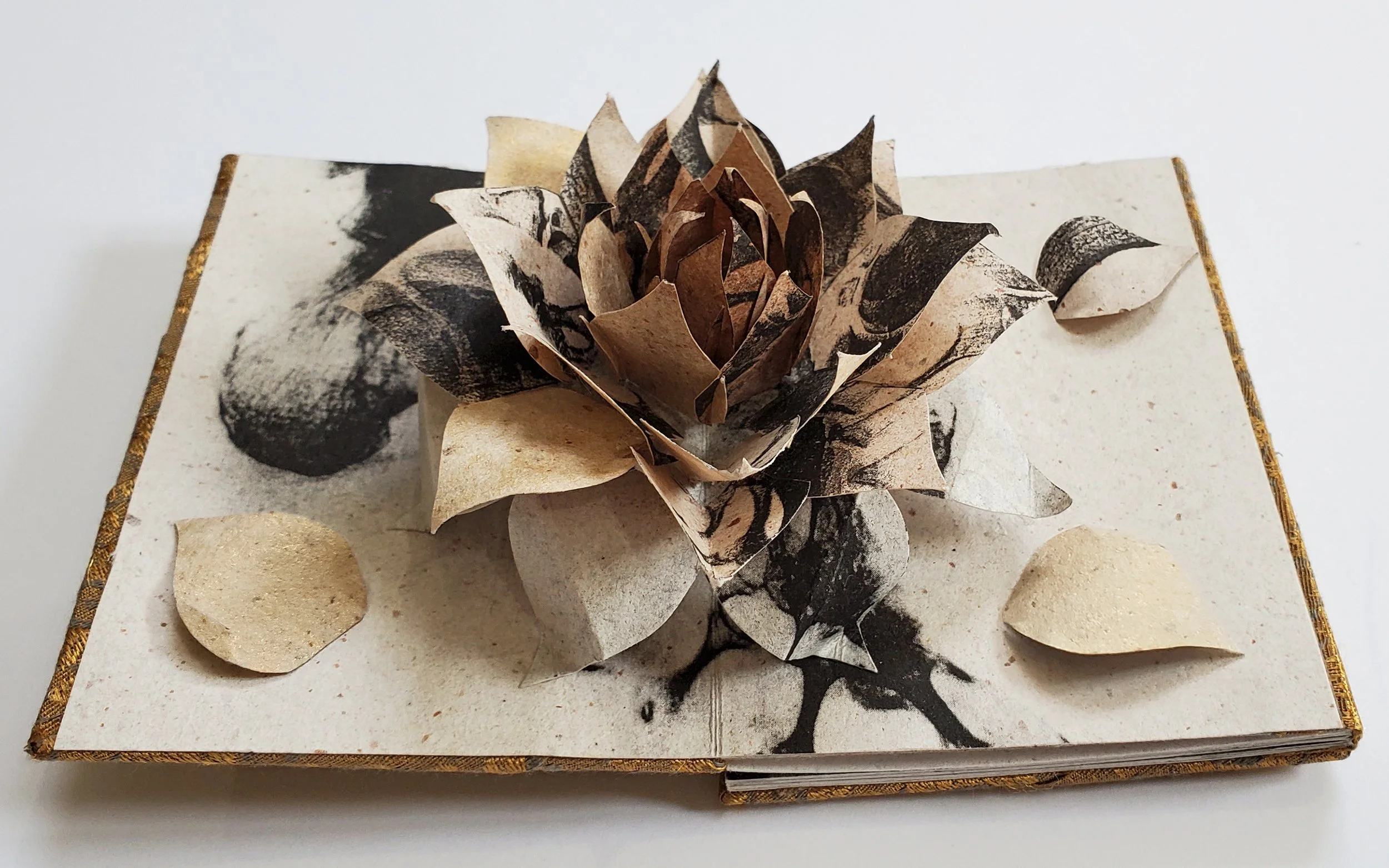 Image_5_GoldenLotus 2.jpg