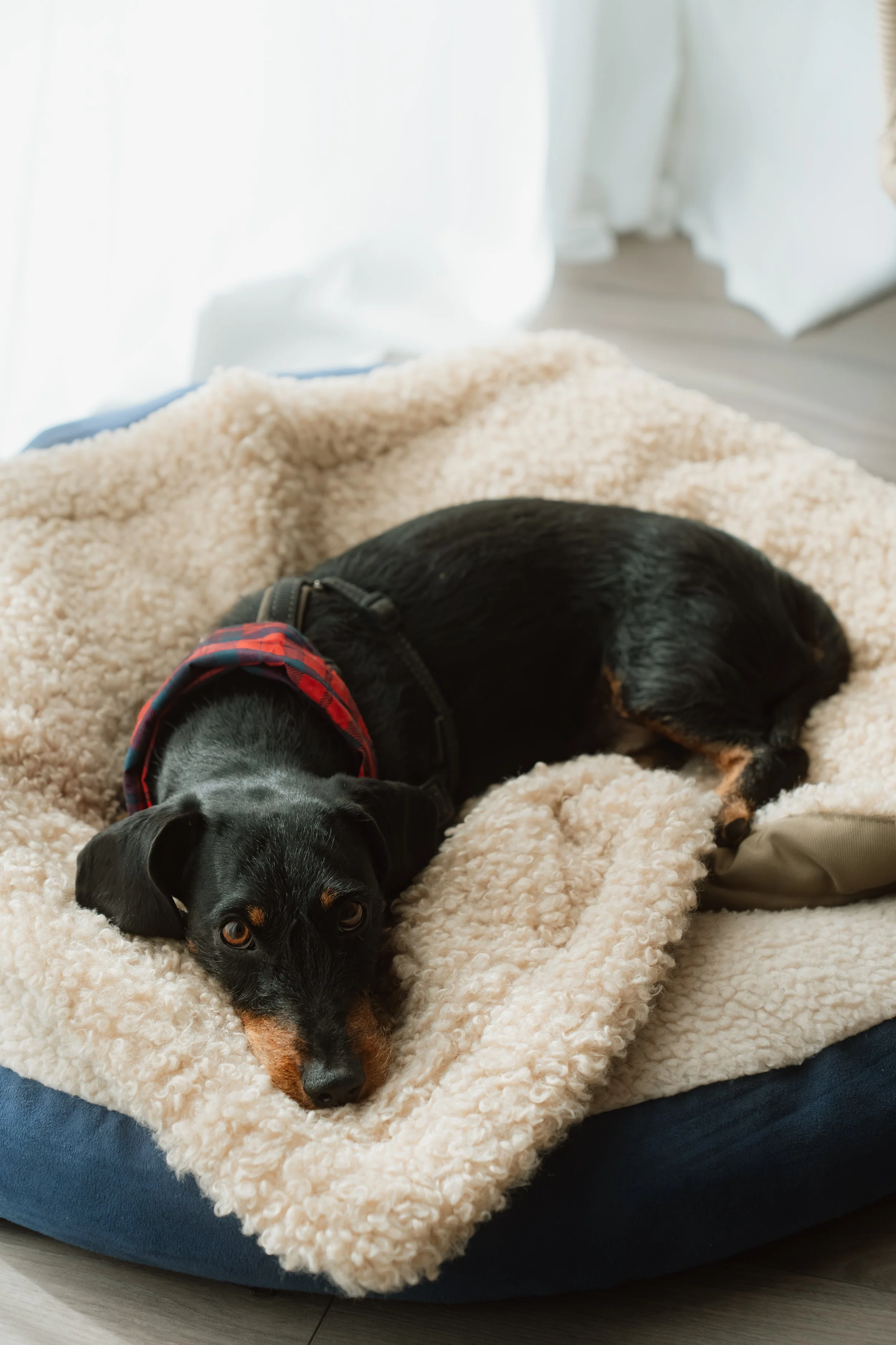 Firmenfotografie - Wave Lens Photography