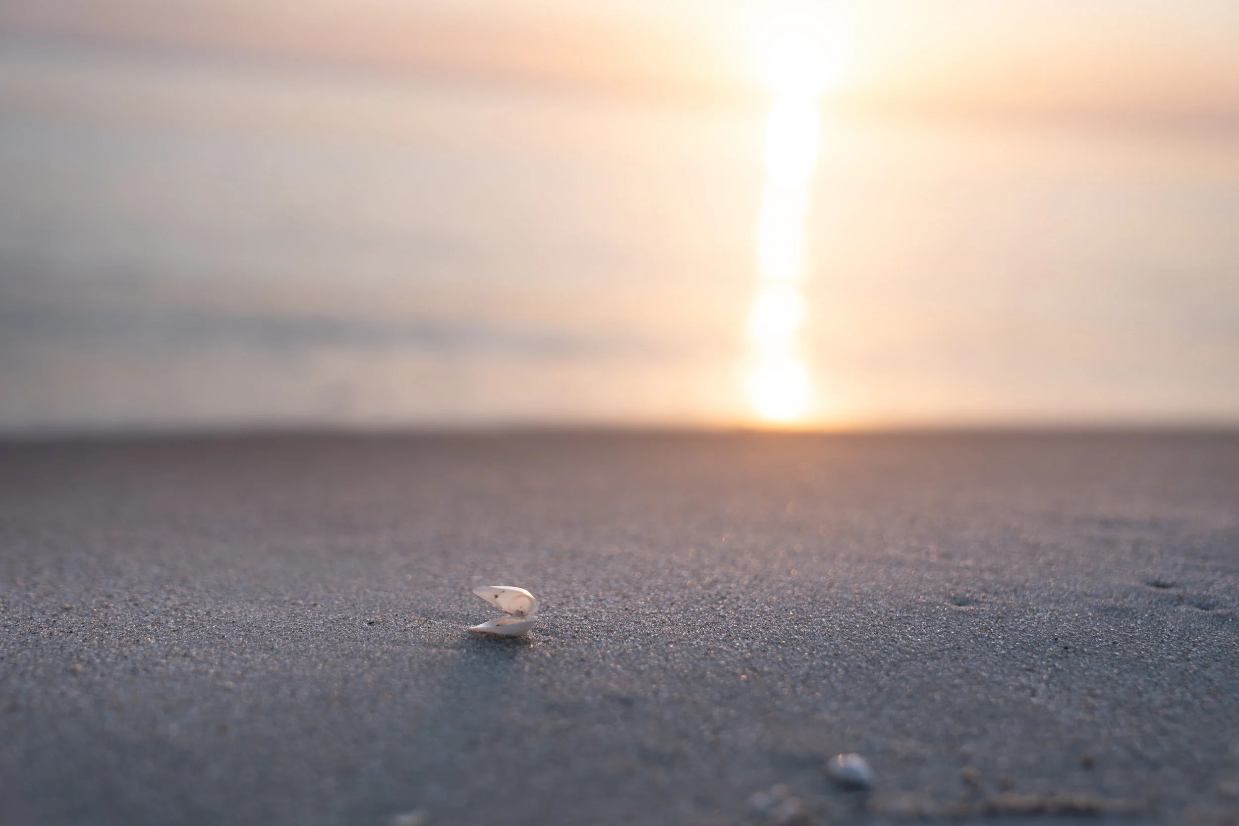 Landschaftsfotografie - Wave Lens Photography