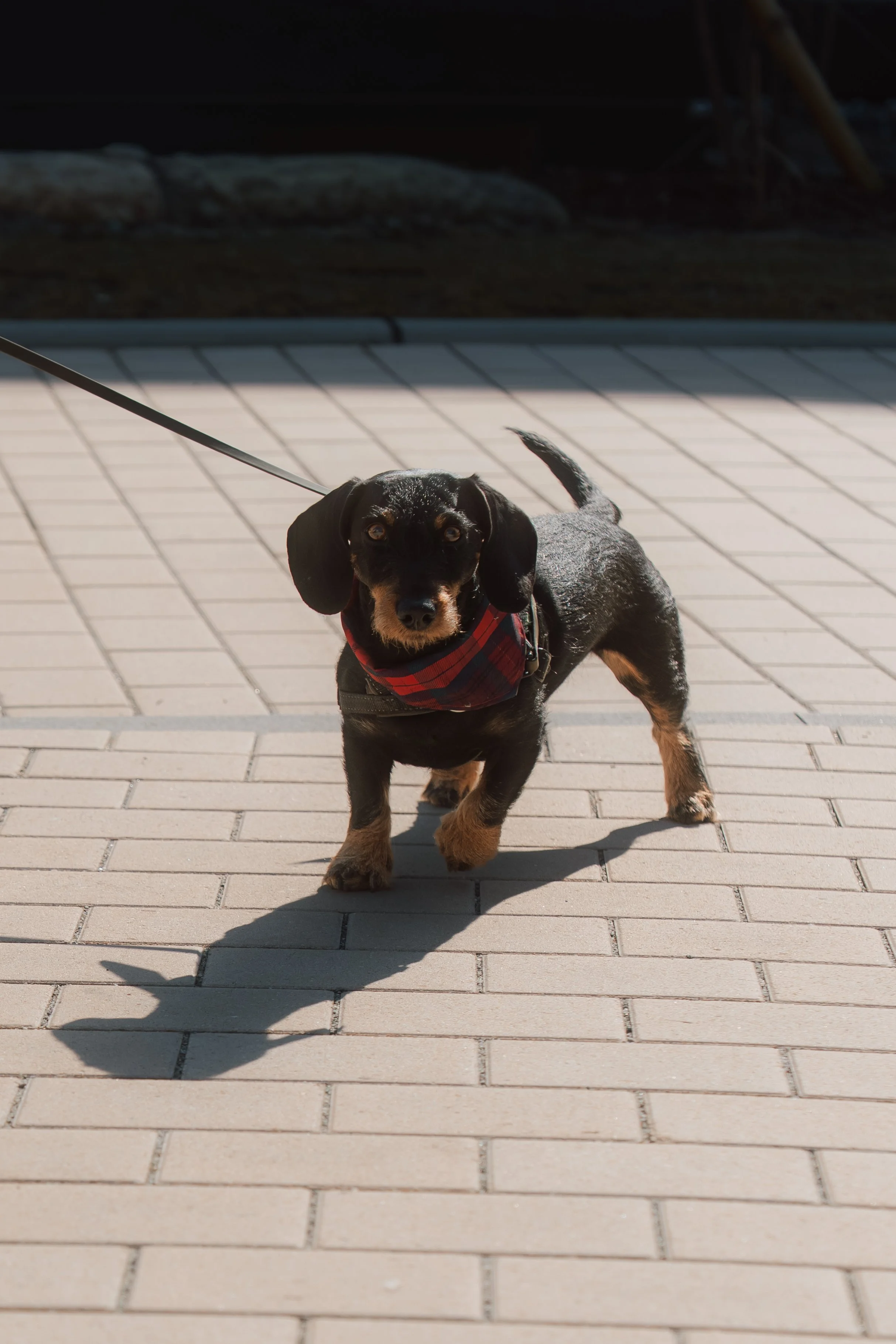 Firmenfotografie - Wave Lens Photography