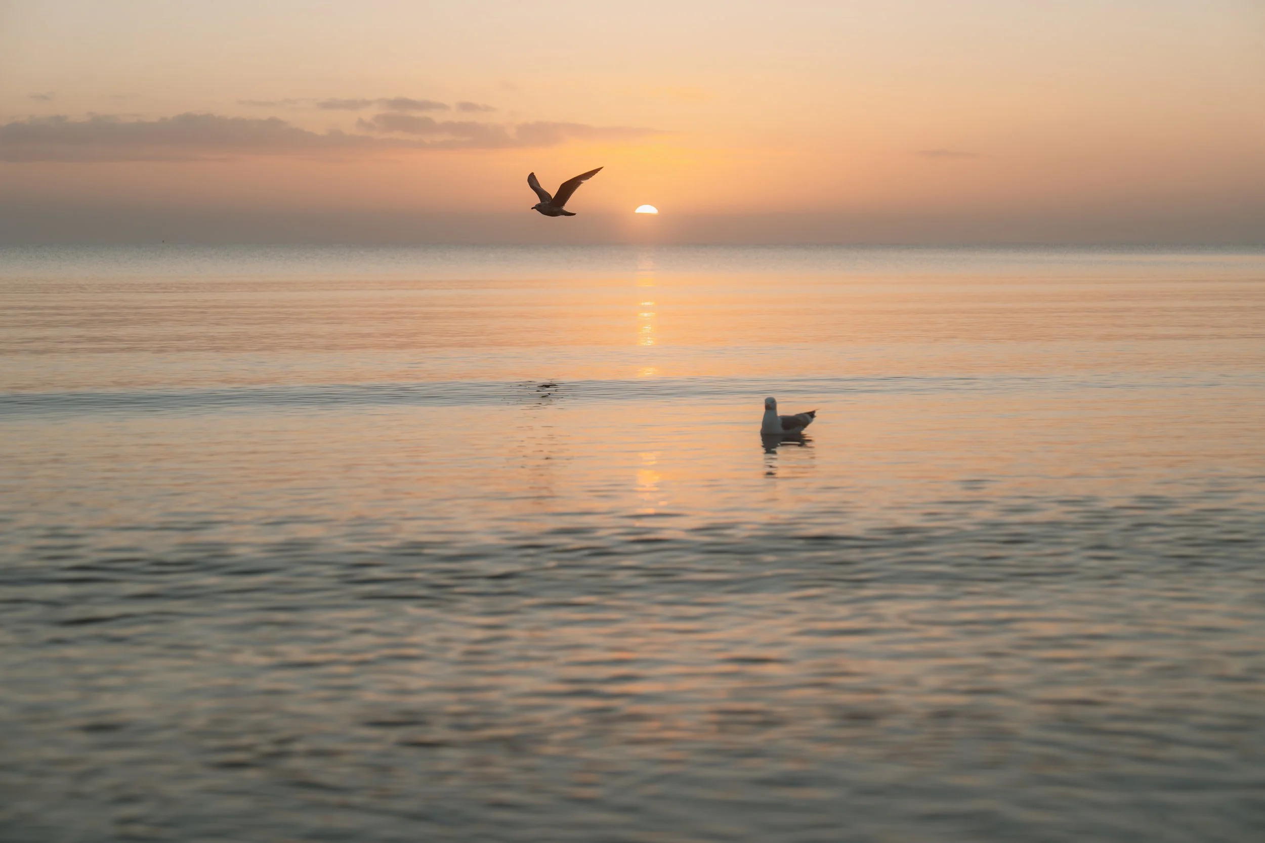 Landschaftsfotografie - Wave Lens Photography