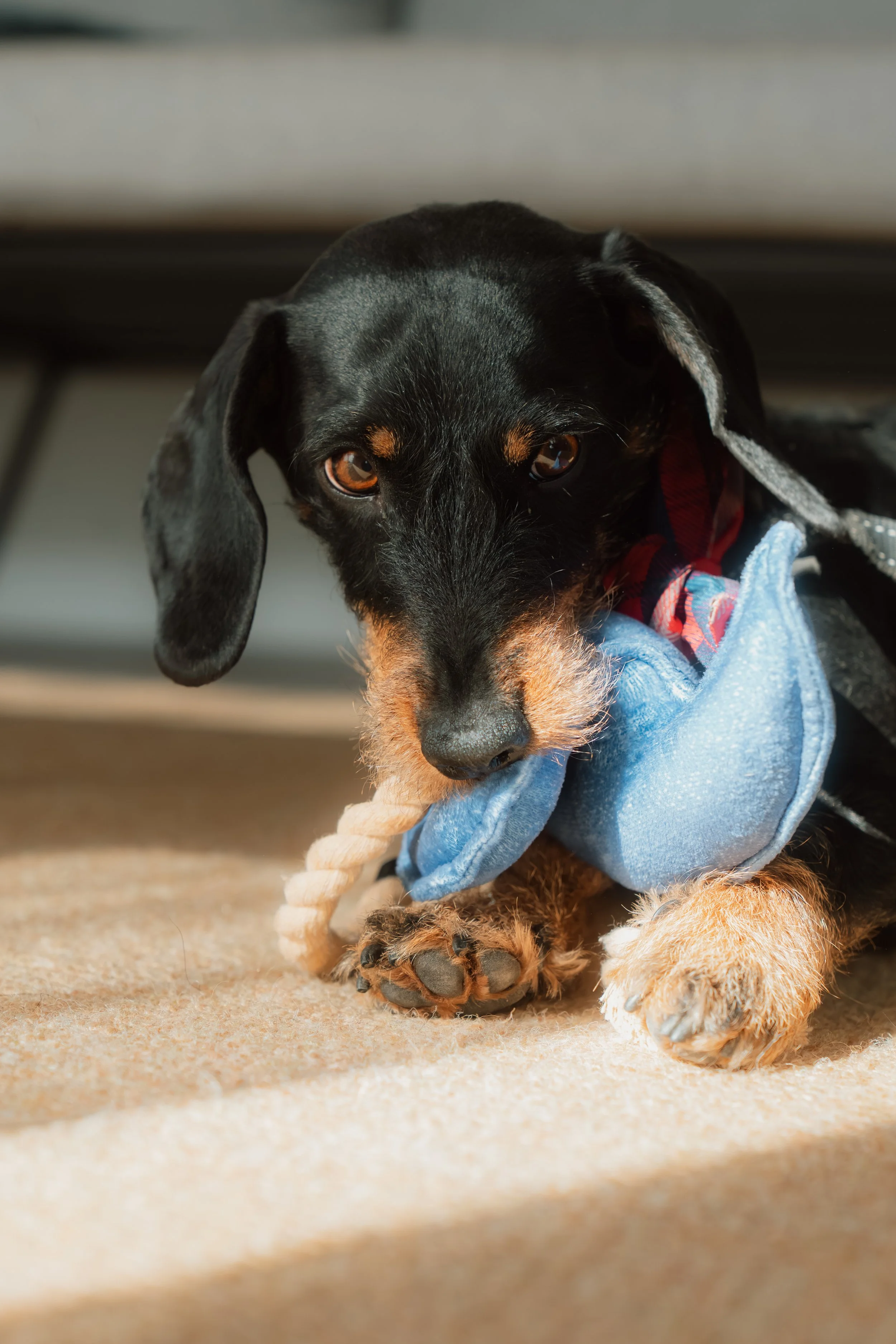 Firmenfotografie - Wave Lens Photography