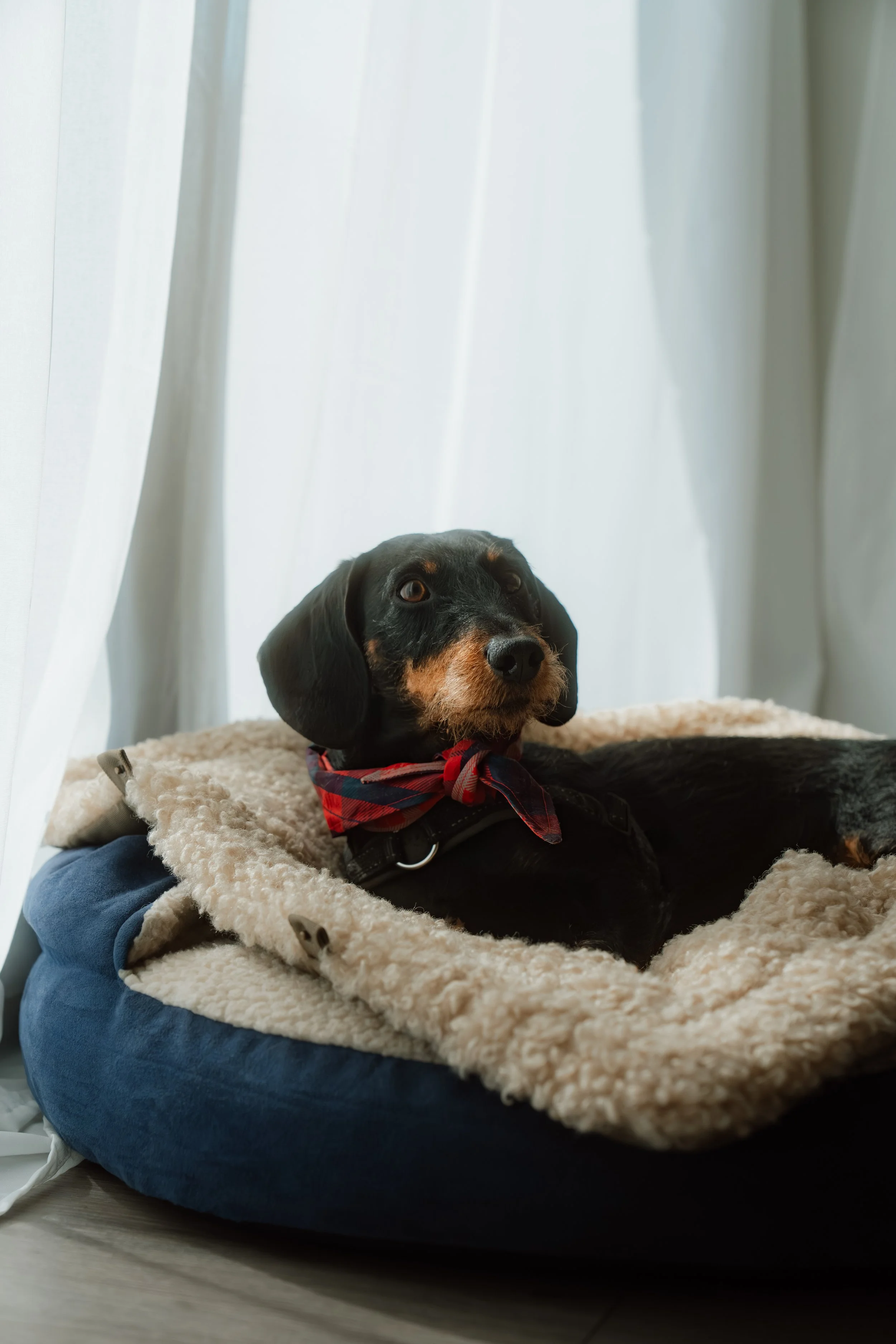 Firmenfotografie - Wave Lens Photography