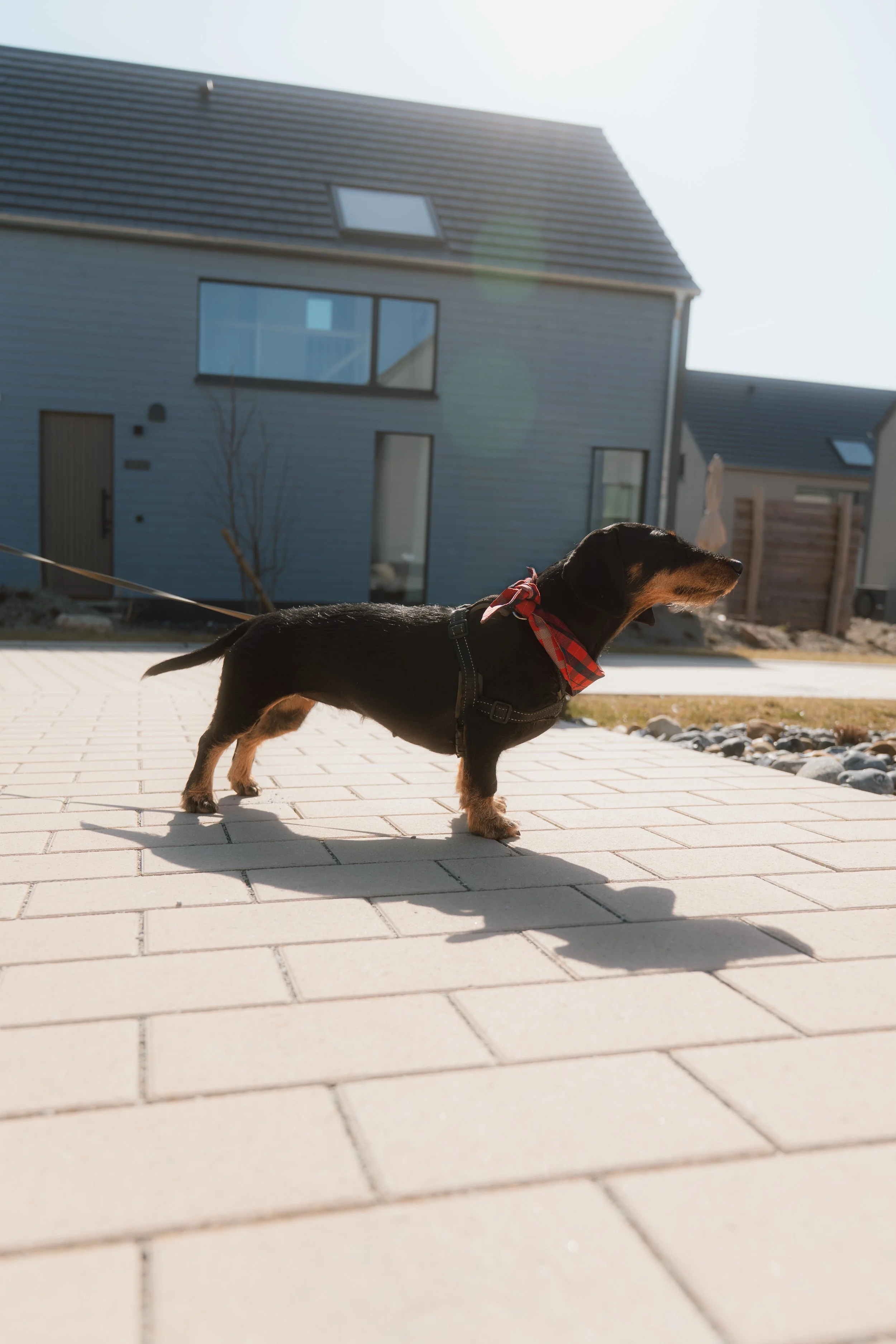 Firmenfotografie - Wave Lens Photography