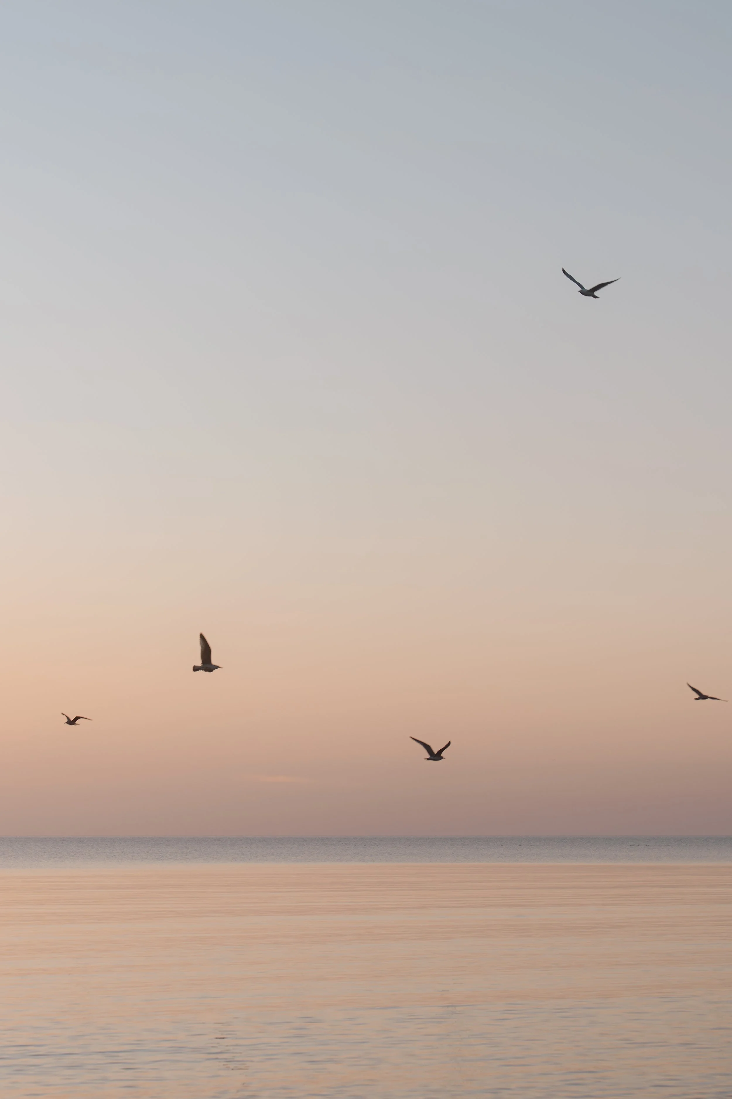 Landschaftsfotografie - Wave Lens Photography