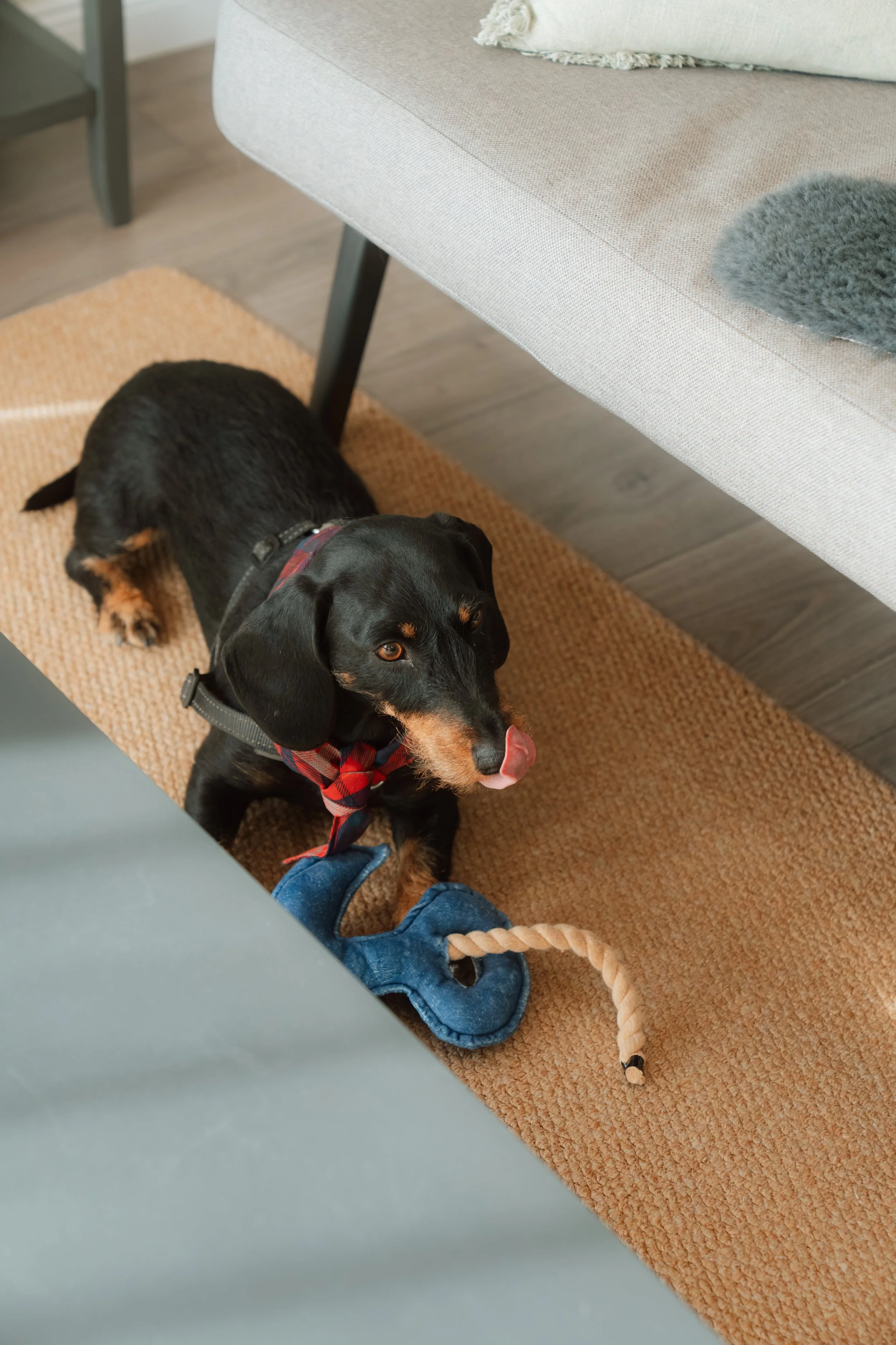 Firmenfotografie - Wave Lens Photography