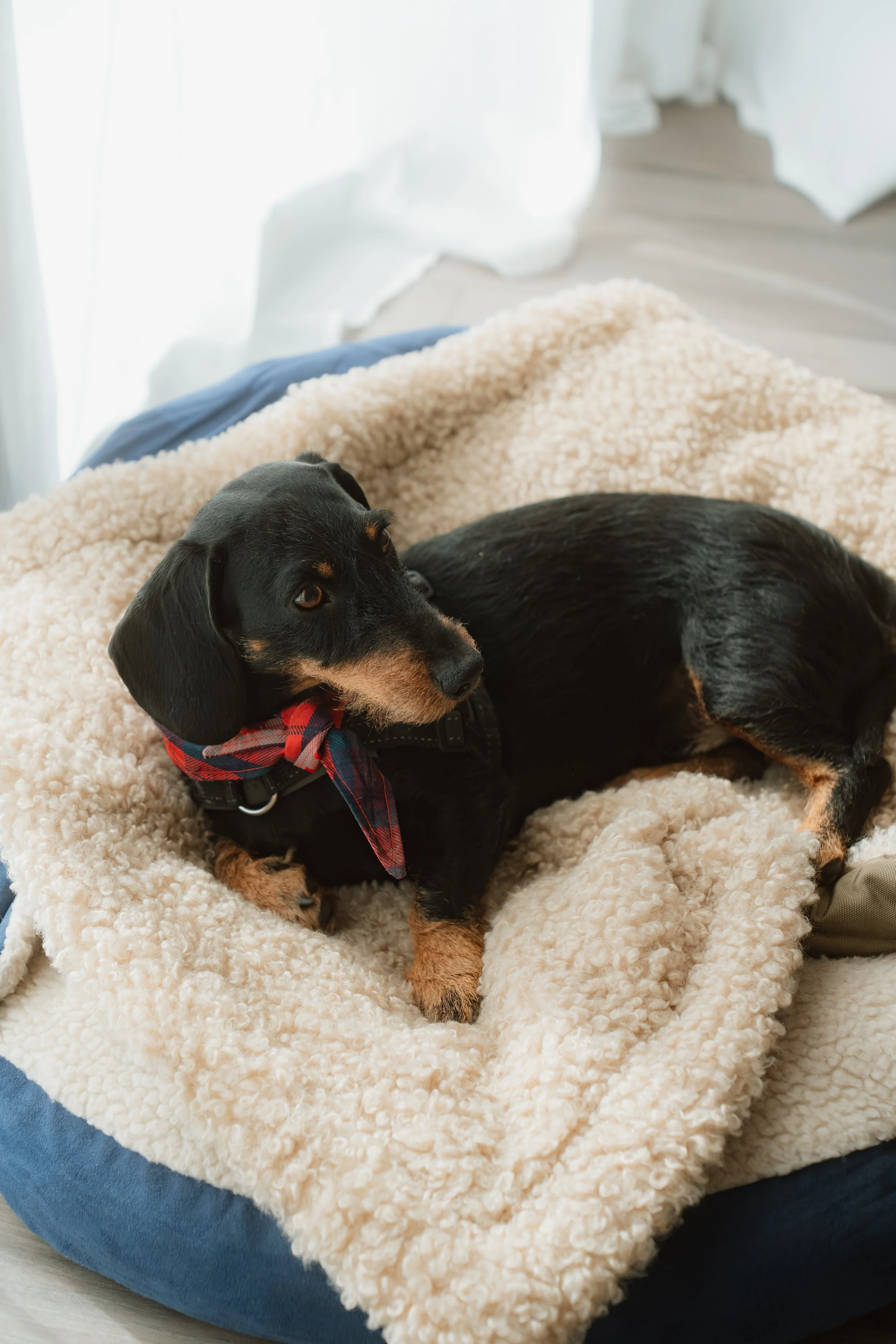 Firmenfotografie - Wave Lens Photography