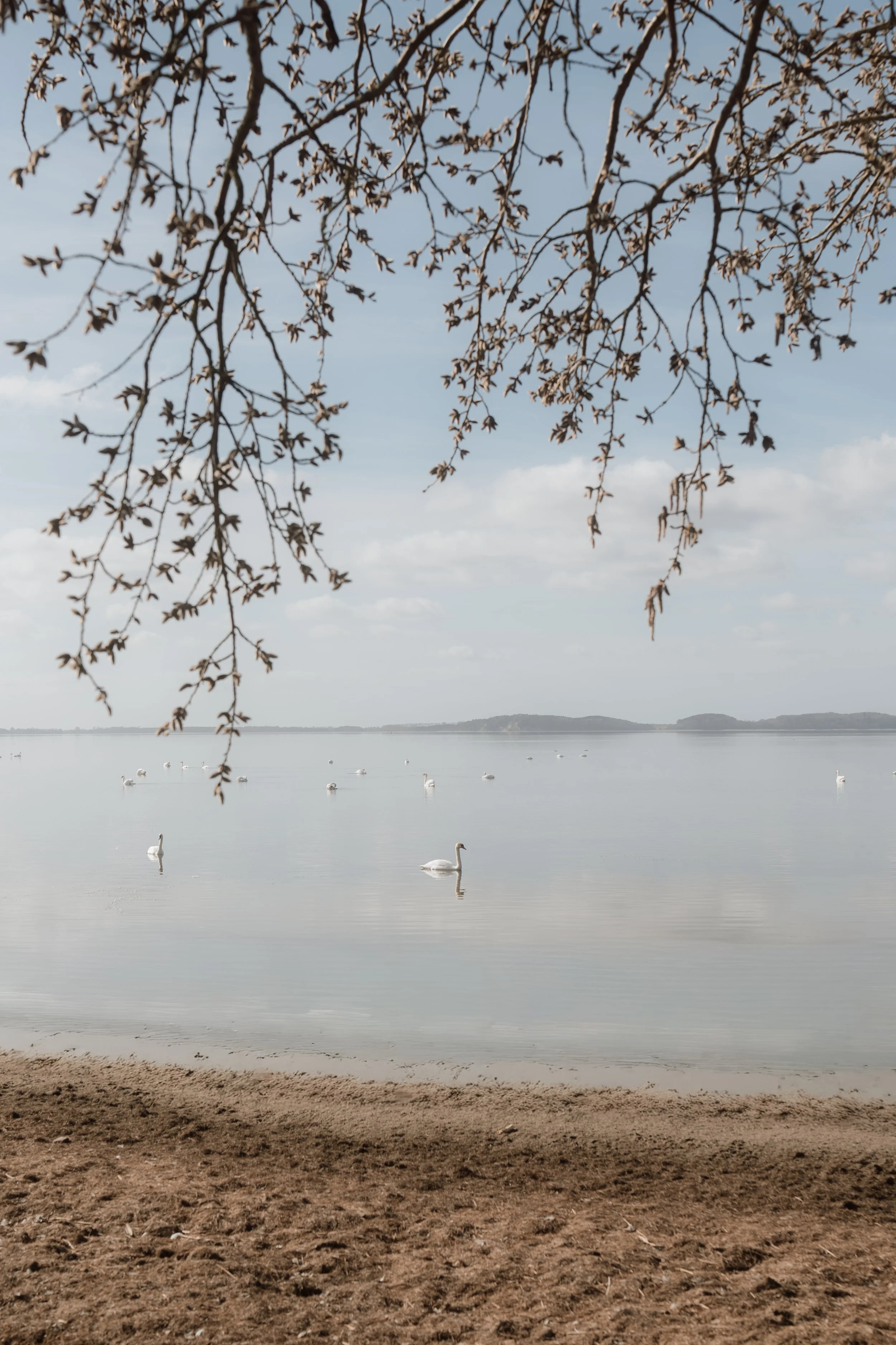 Firmenfotografie - Wave Lens Photography