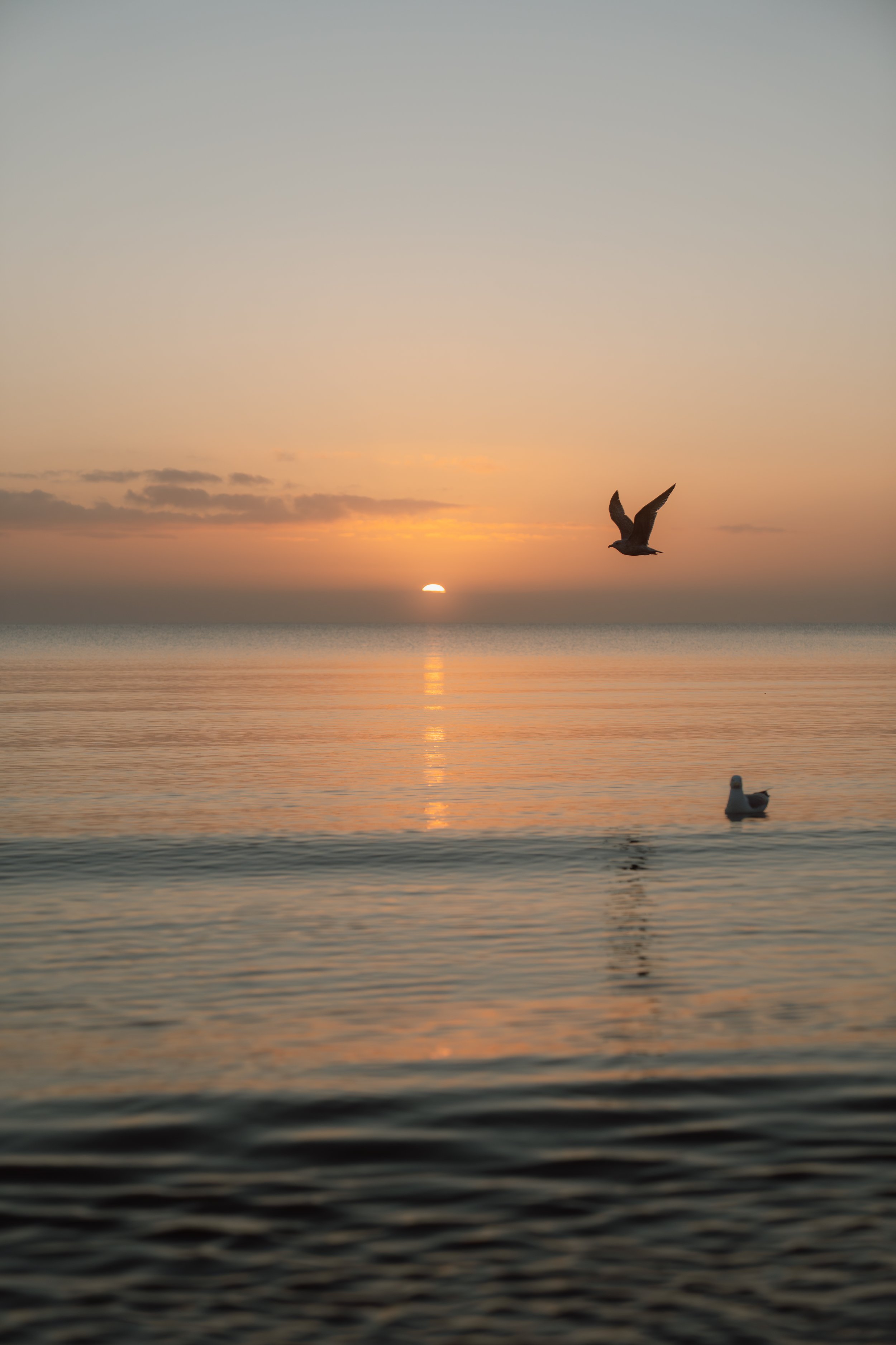 Landschaftsfotografie - Wave Lens Photography