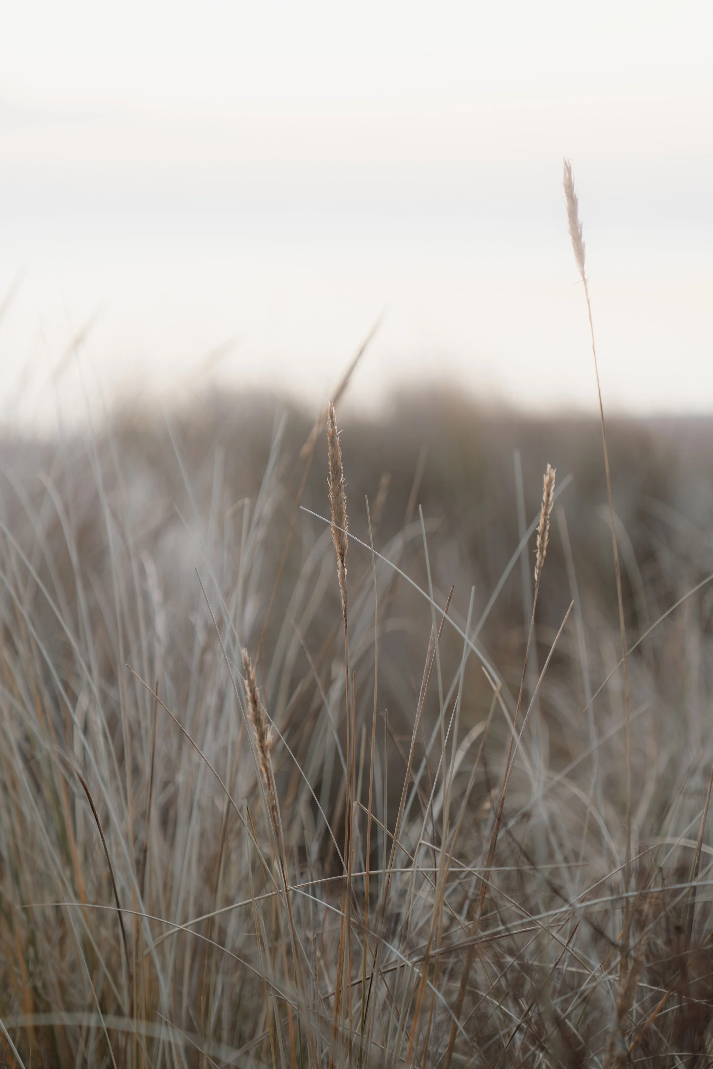Landschaftsfotografie - Wave Lens Photography