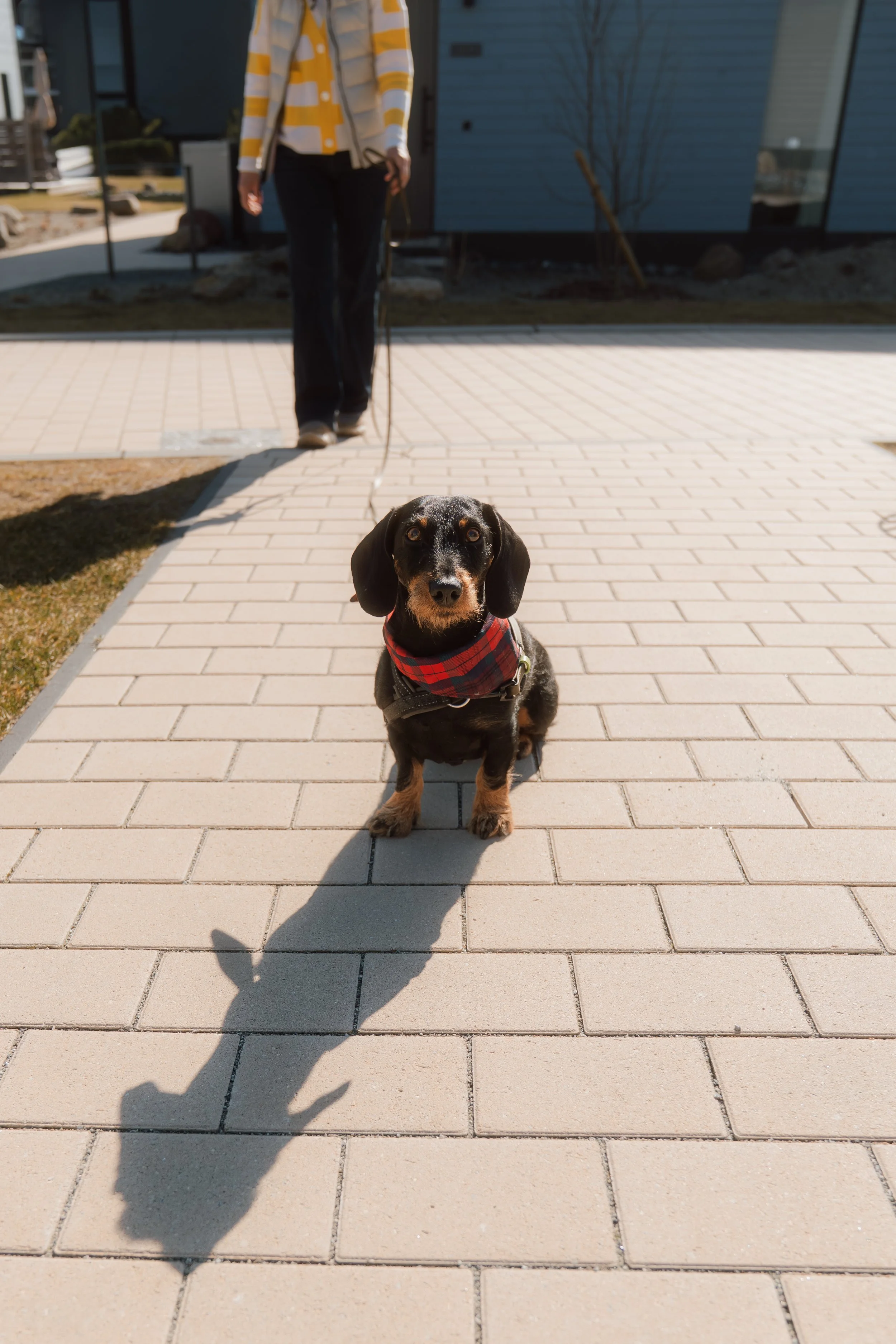 Firmenfotografie - Wave Lens Photography