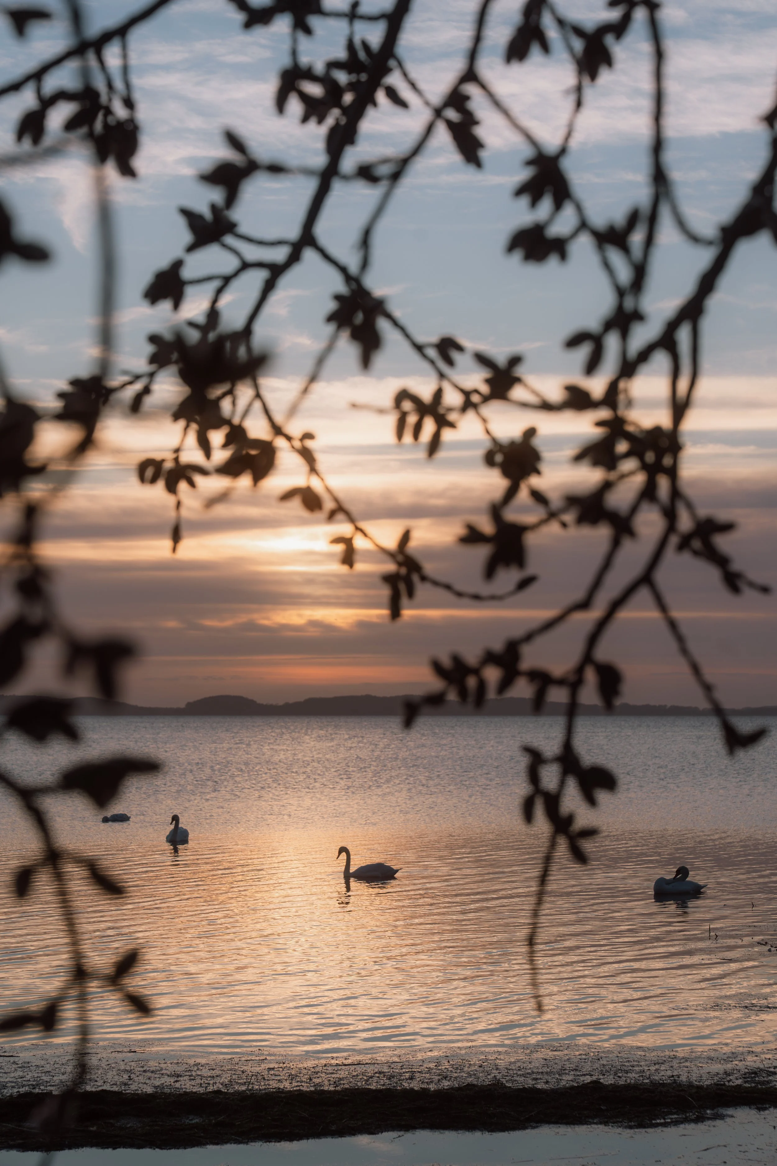 Firmenfotografie - Wave Lens Photography