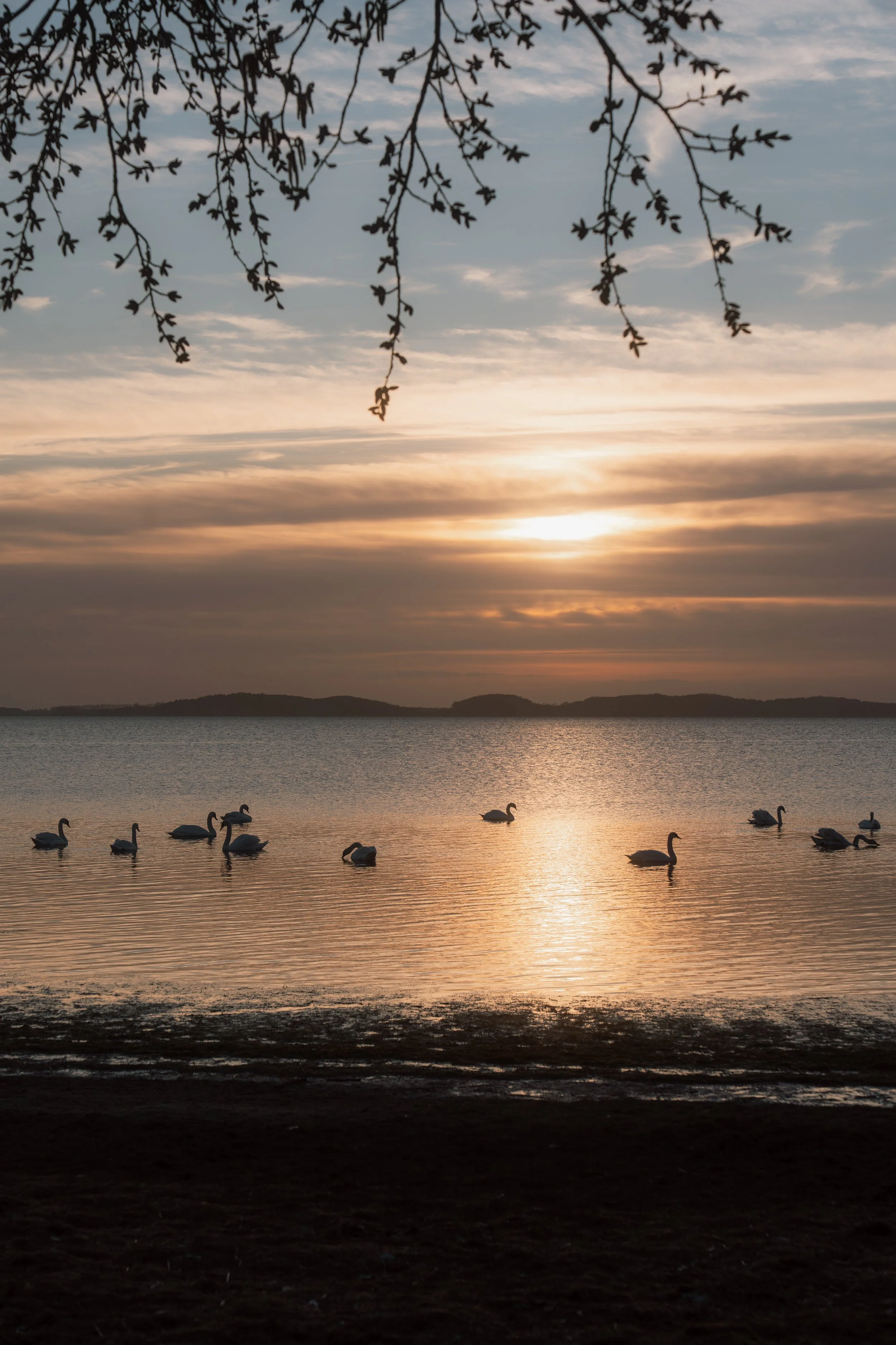 Firmenfotografie - Wave Lens Photography