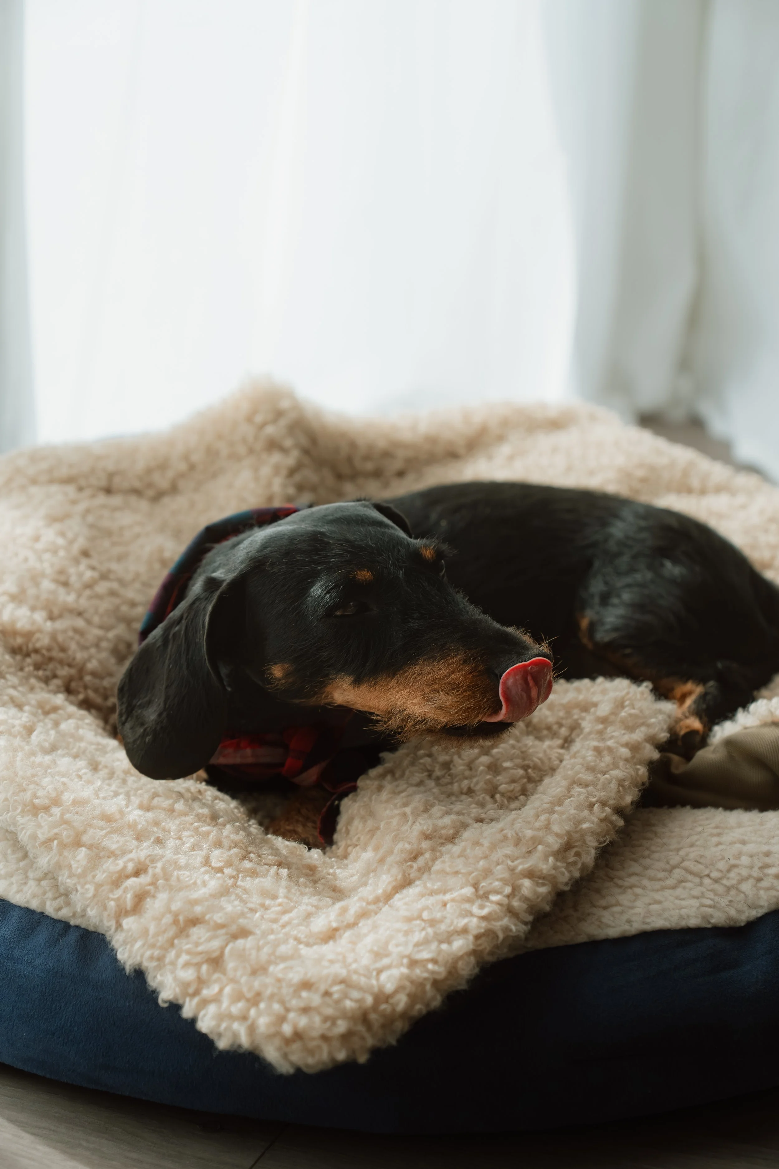 Firmenfotografie - Wave Lens Photography