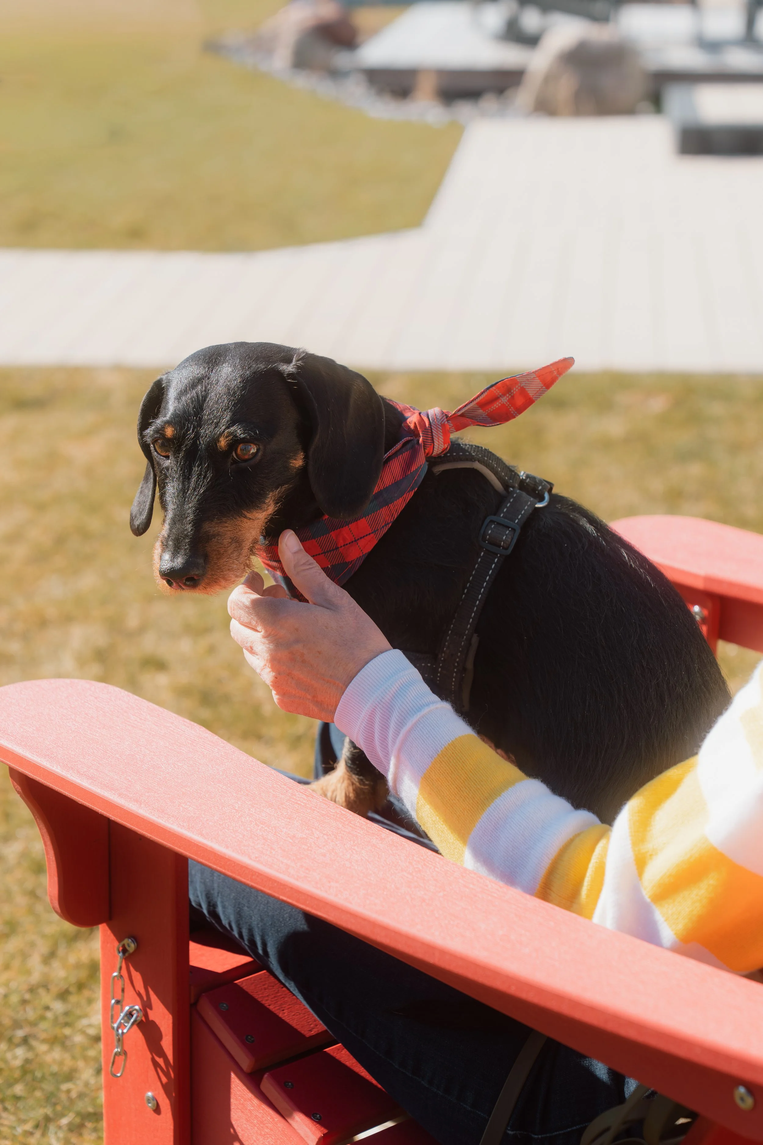 Firmenfotografie - Wave Lens Photography