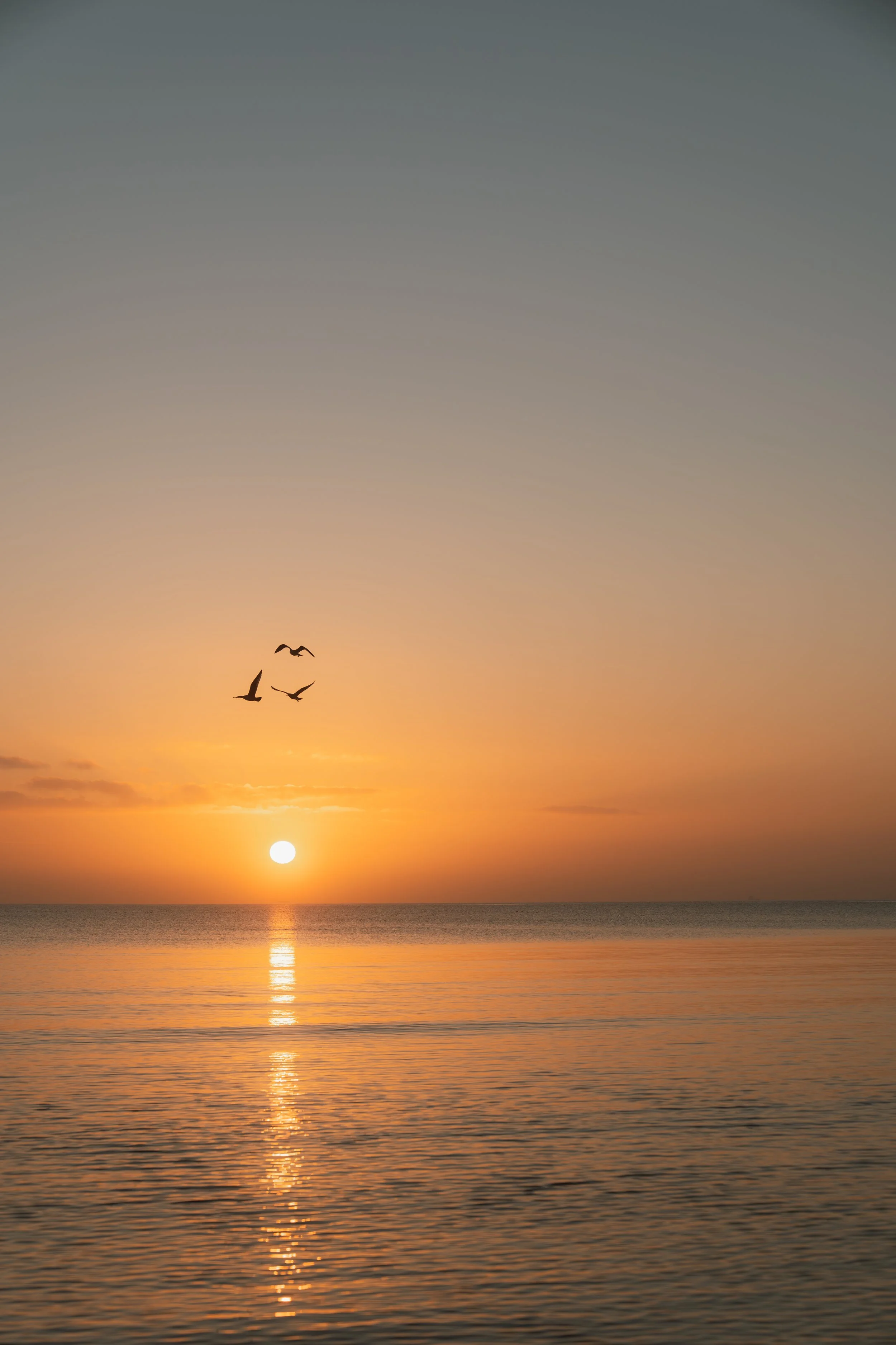 Landschaftsfotografie - Wave Lens Photography