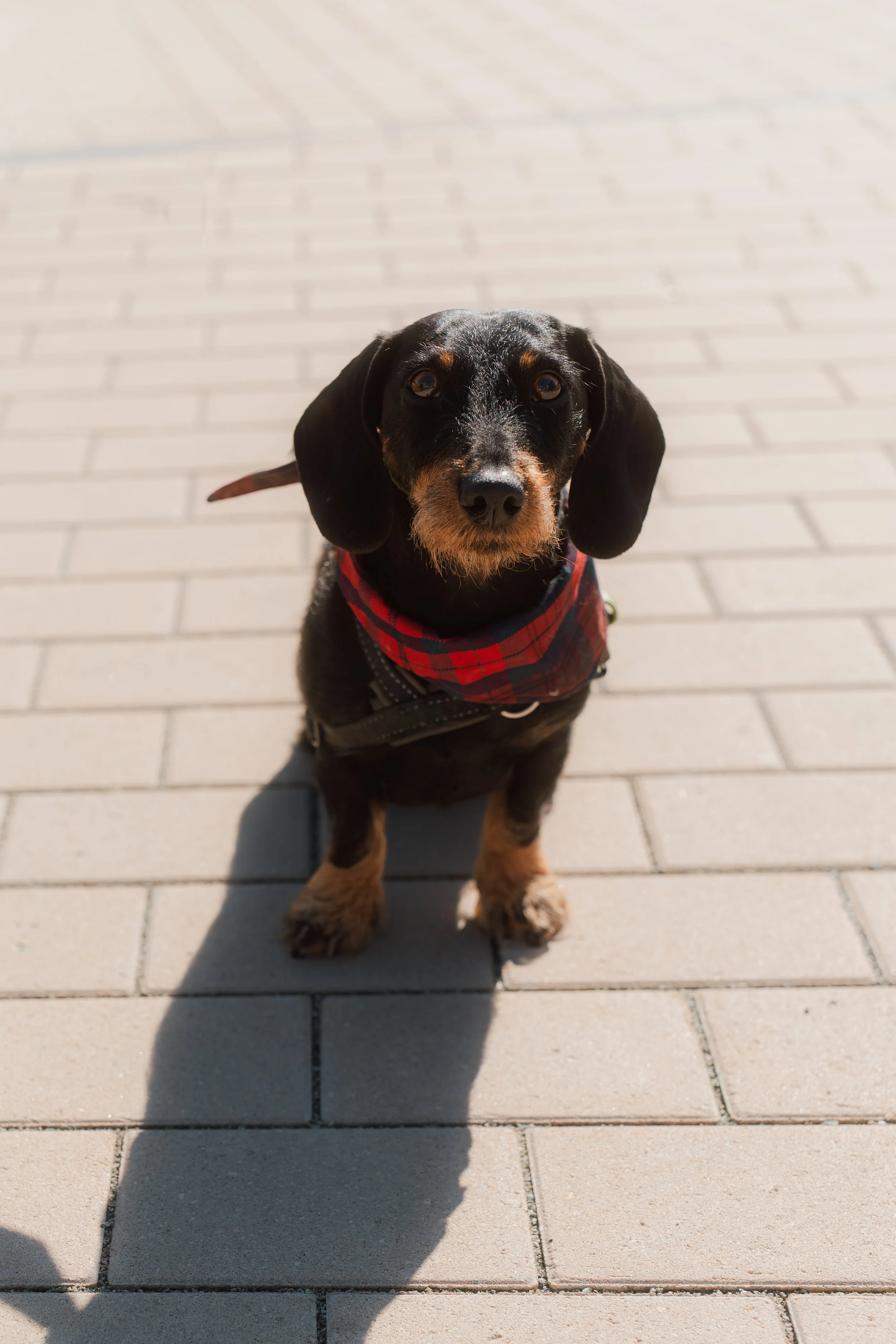 Firmenfotografie - Wave Lens Photography