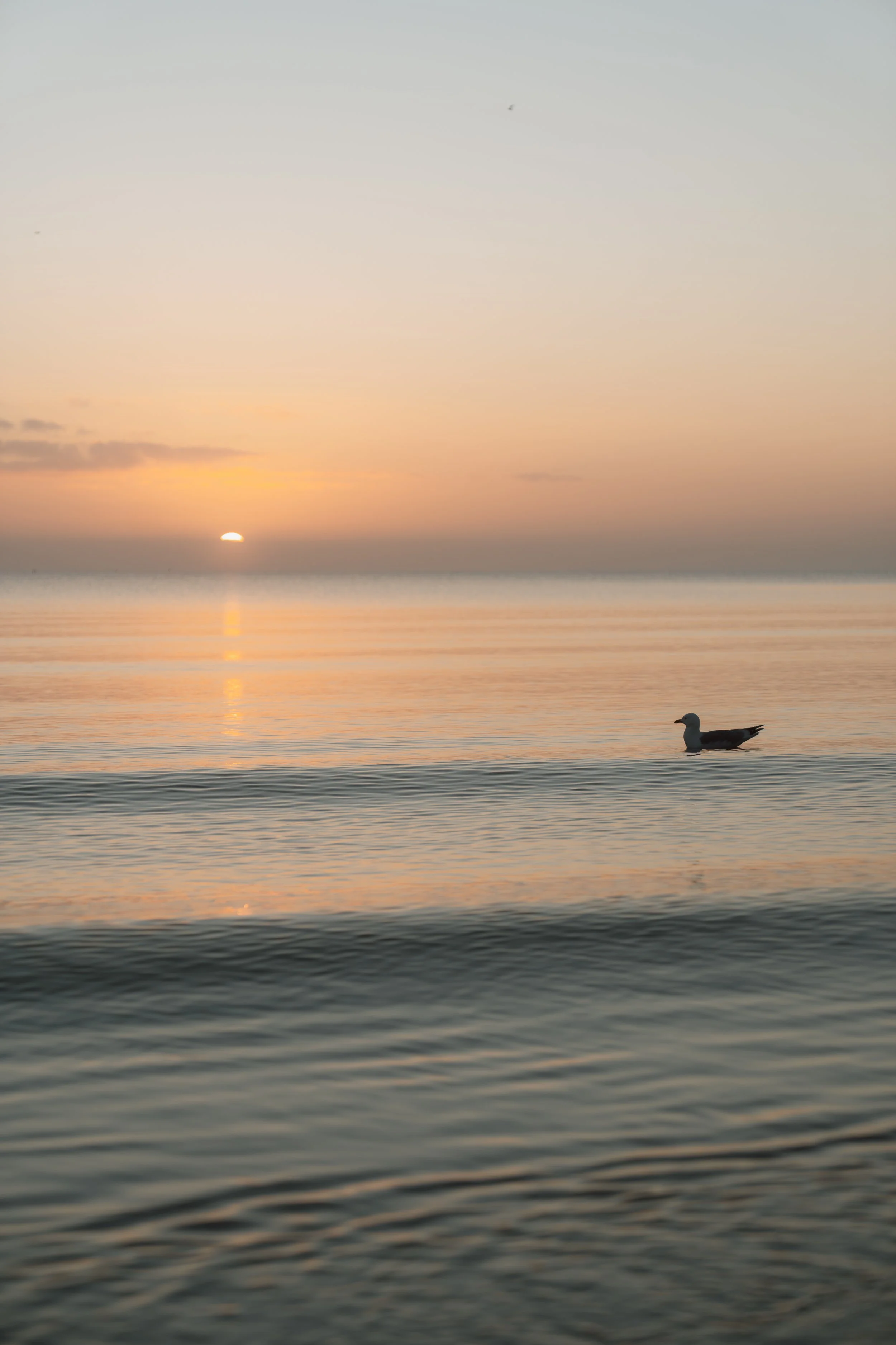 Landschaftsfotografie - Wave Lens Photography