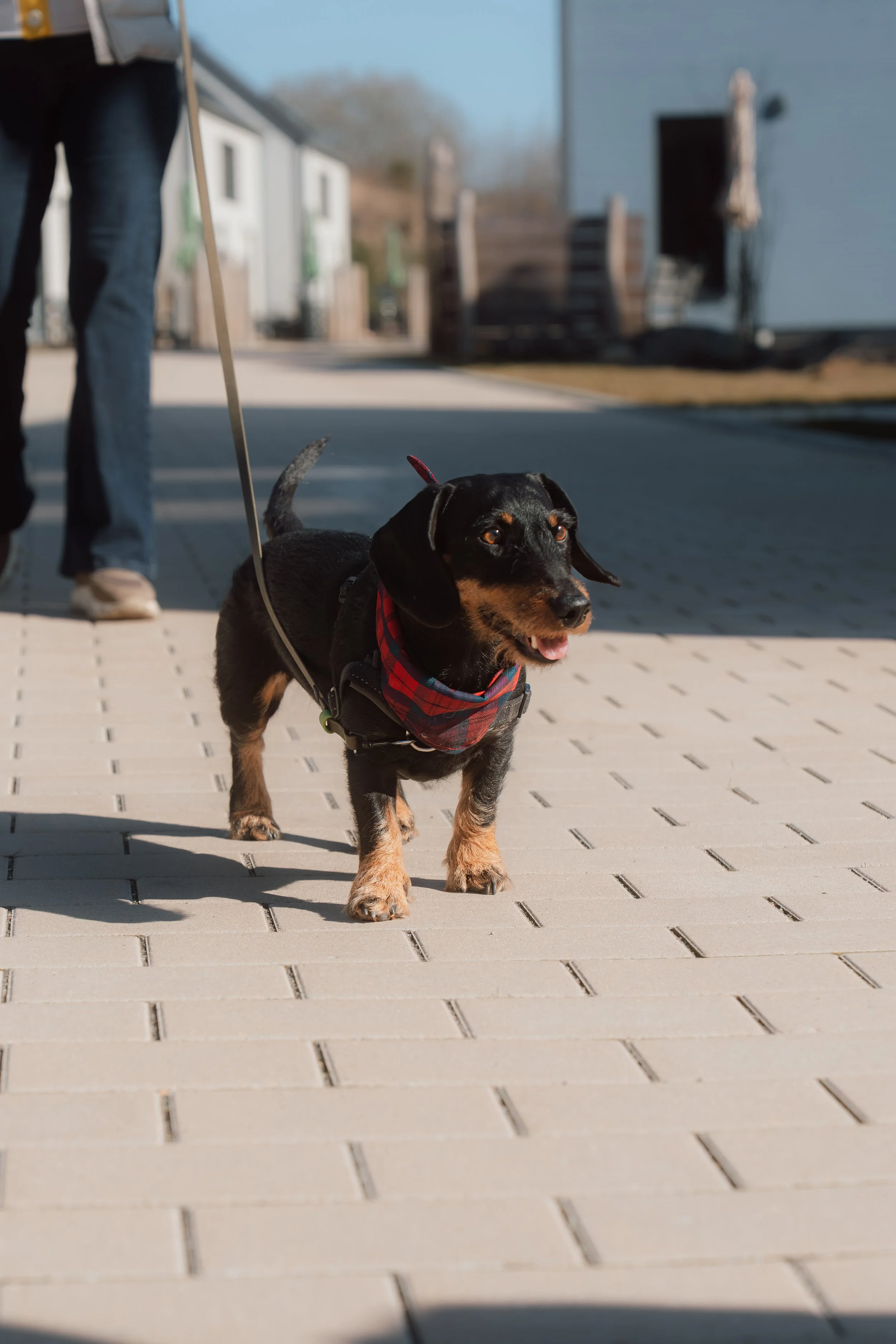 Firmenfotografie - Wave Lens Photography