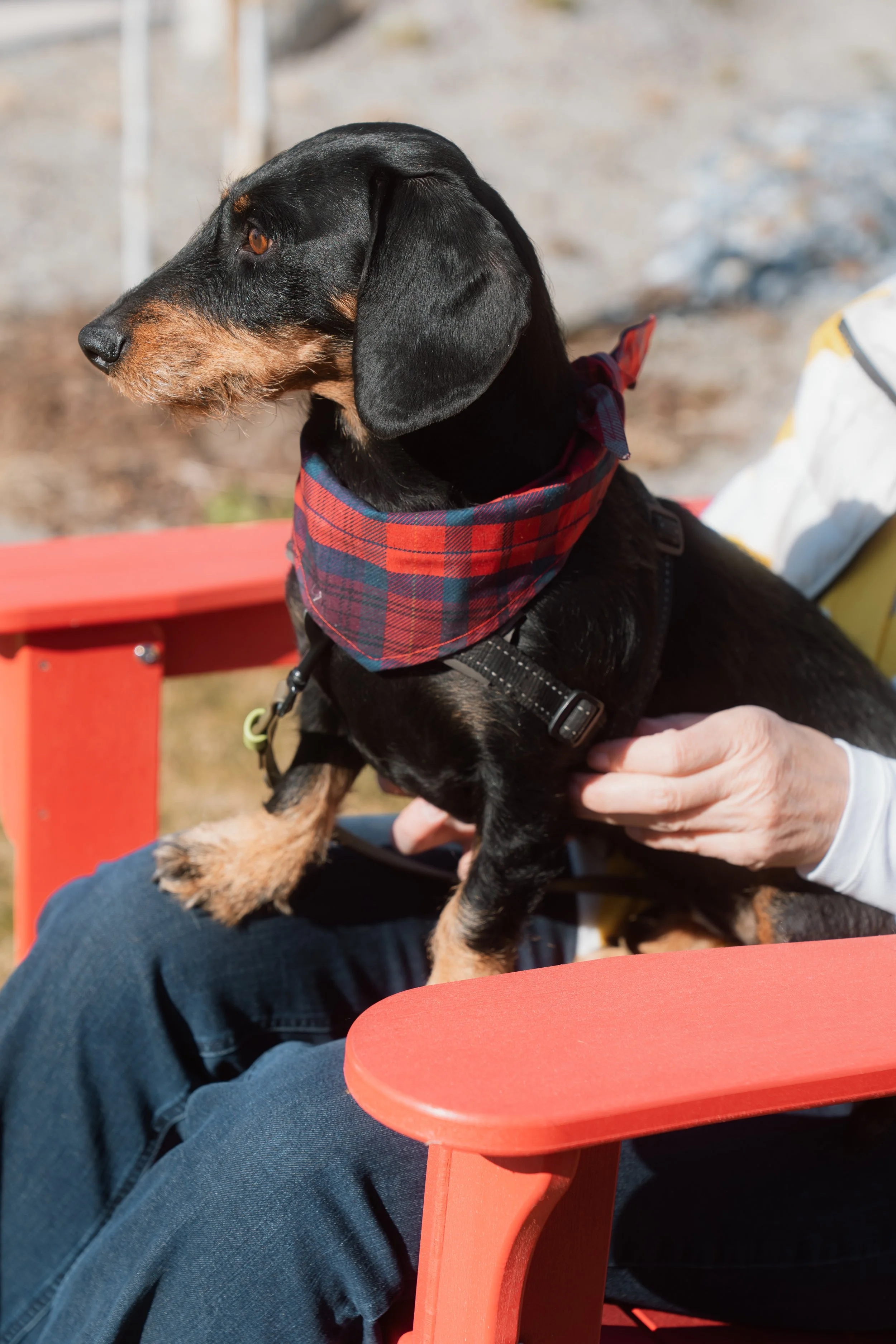 Firmenfotografie - Wave Lens Photography