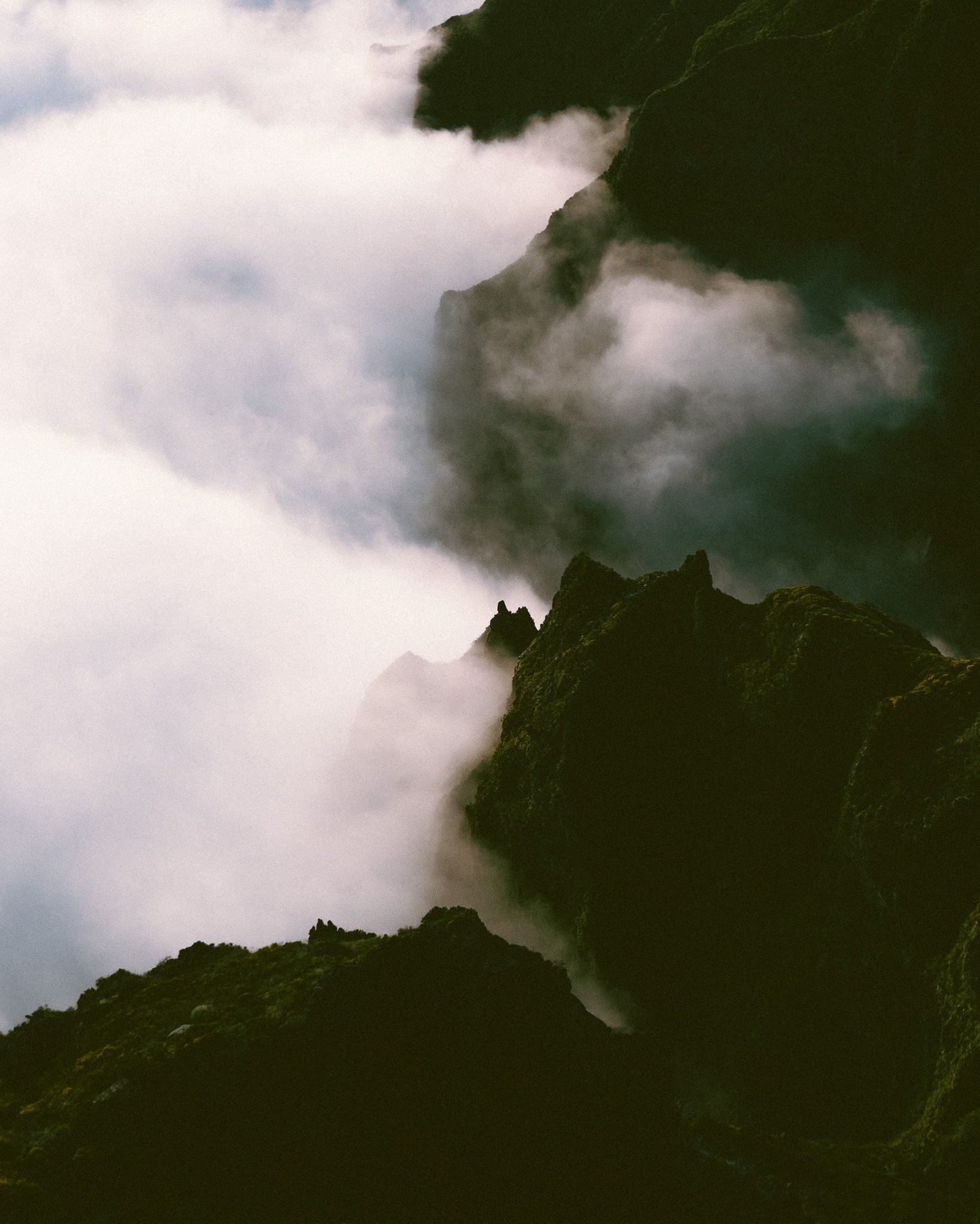 I cannot unsee these clouds below mountains just after sunrise, time stood still here &hearts;️ my day 5 

#madeira #travel #photography