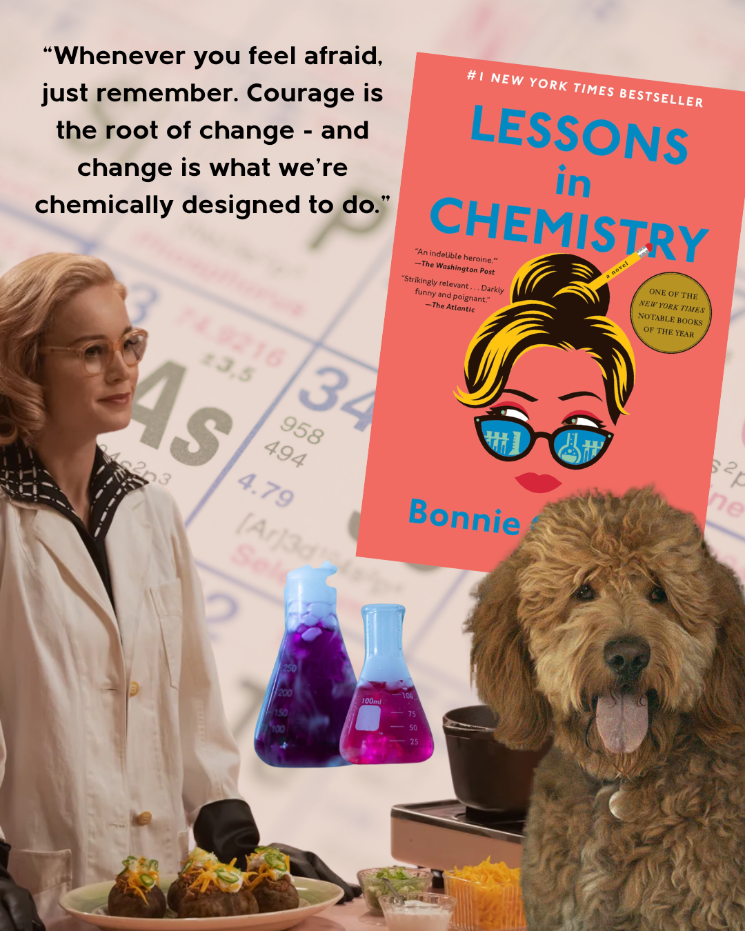 lessons in chemistry.png