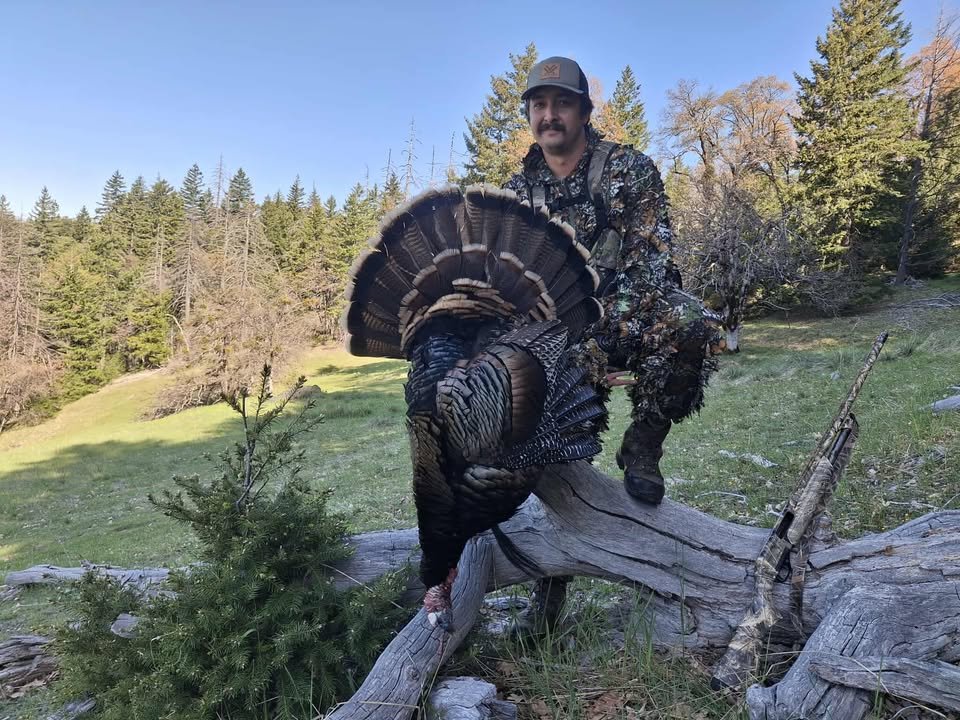 Cristian Erickson scored his second bird on Friday! Another fantastic addition to our Strut Your Stuff contest!
.
.
. #turkeyhunter #weknowtheoutdoors #turkeyseason #hunting #turkeyhunt #eurekacalifornia #humboldtcounty #rmioutdoors #shoplocally #sho