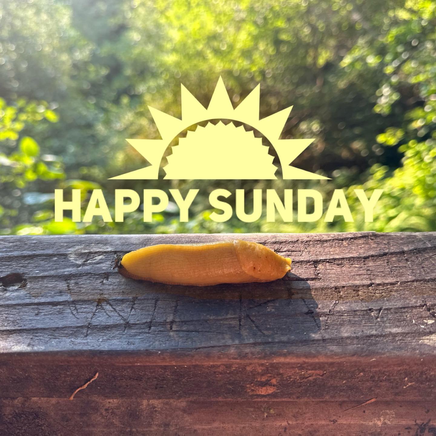 Enjoying a relaxing day in beautiful Humboldt County