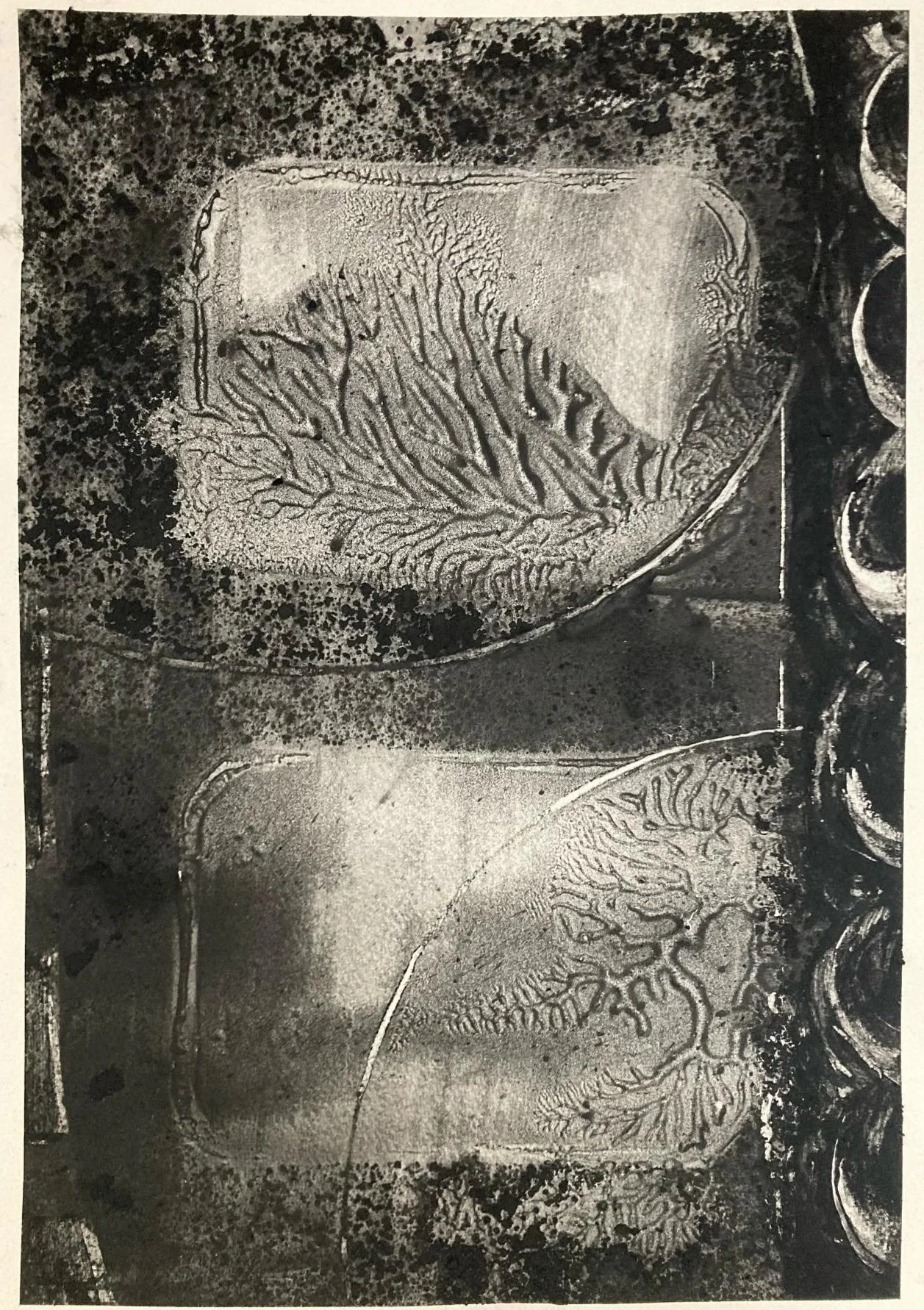 Winter drawing
2024
Charcoal on paper
42 x 30 cm