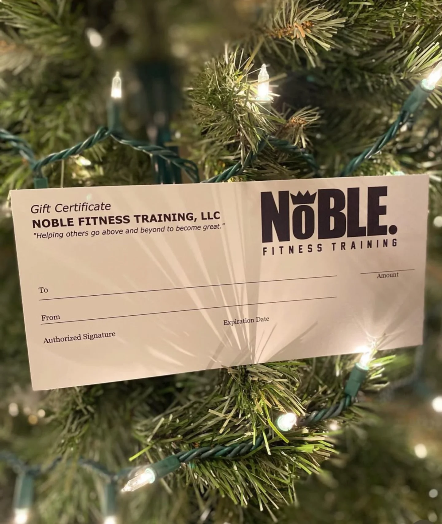 It&rsquo;s that time of year again! 
If you are out of gift ideas, but really want to get the perfect gift. What gift is better than better health? That is truly the gift that keeps on giving. This holiday season everyone will be looking to upgrade s