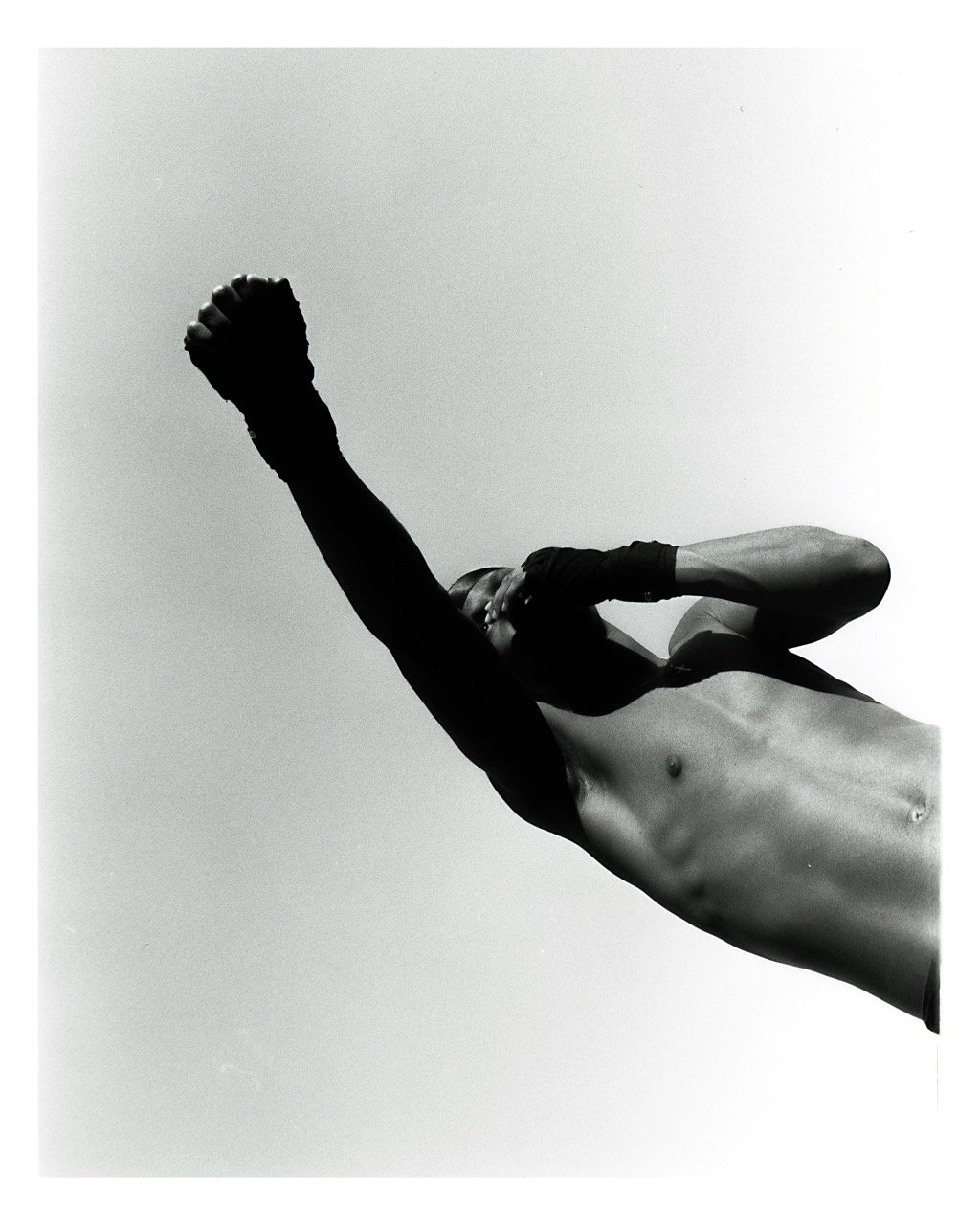 Anthony_Gansauer_Fist Towards Sky Large.jpeg