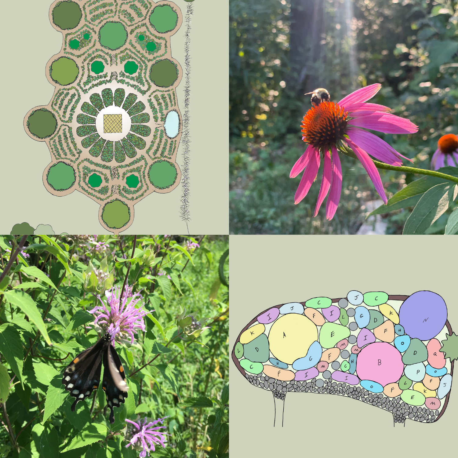 Intro to Permaculture