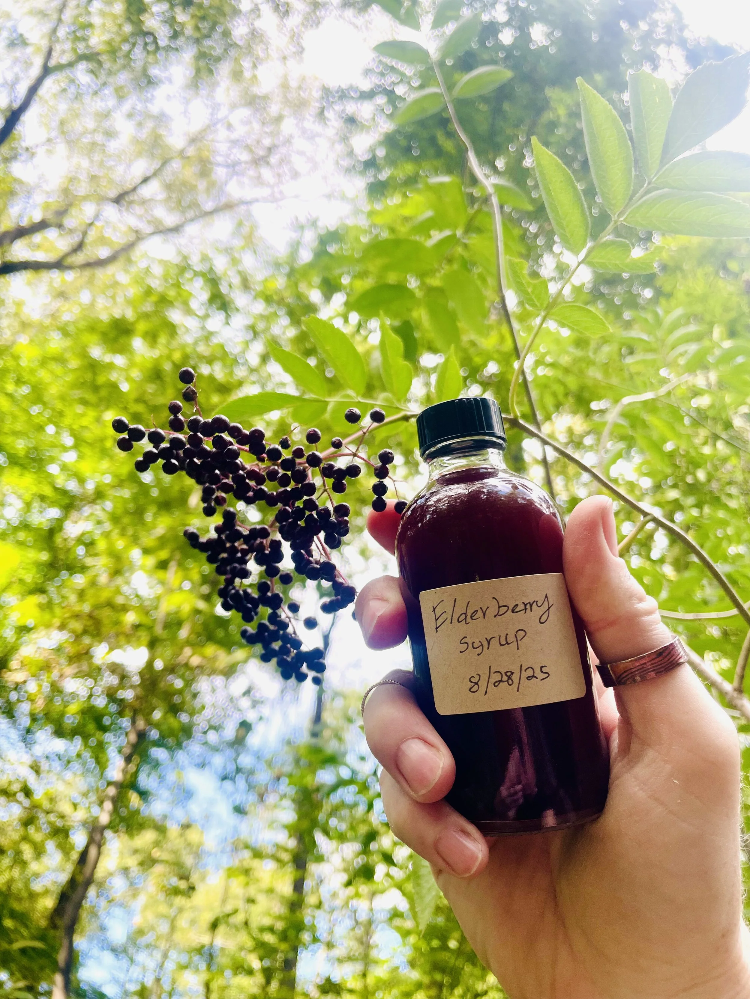 Herbal Decoctions and Syrups