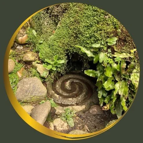 Brigid's Path Herbal Course
