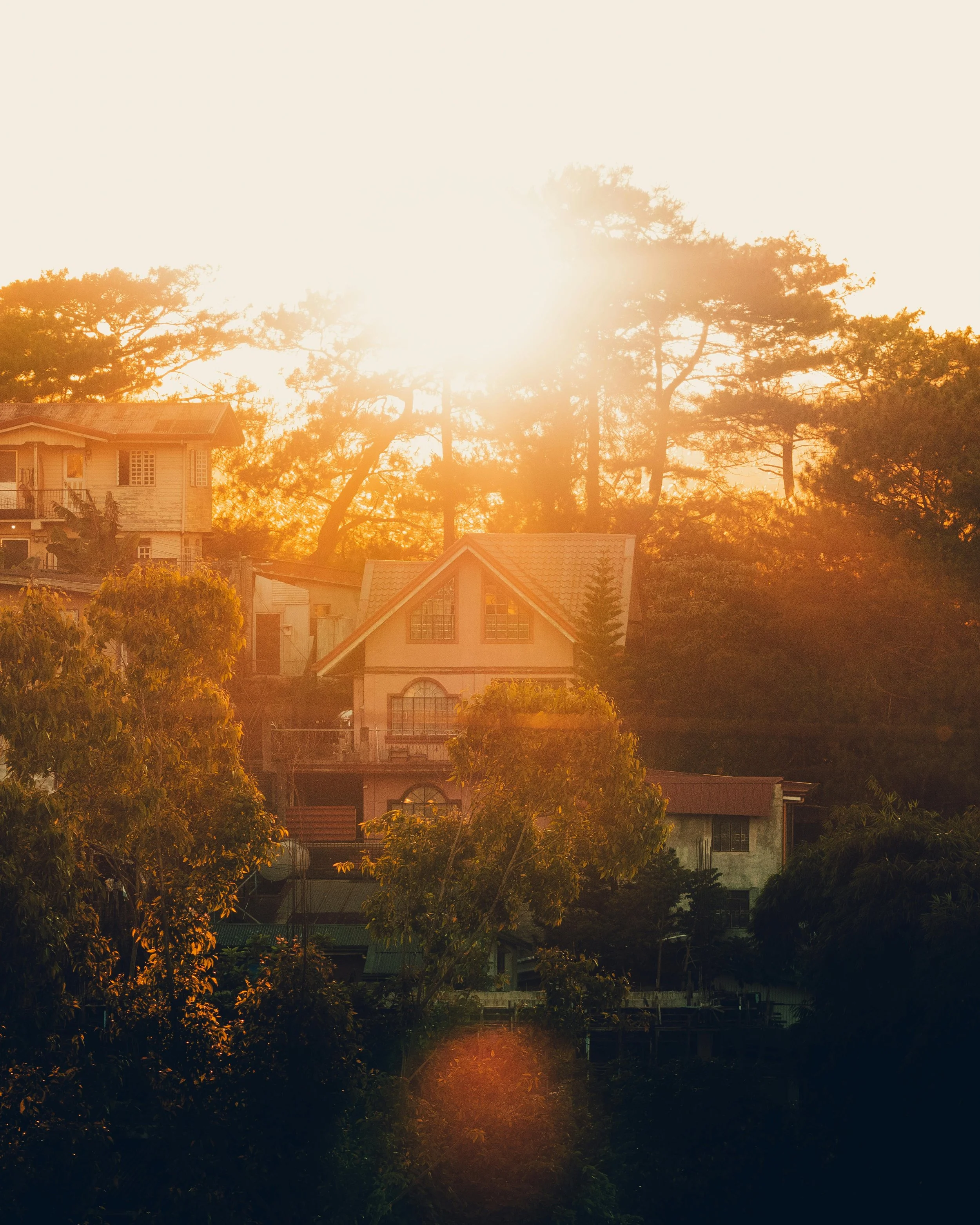 Zero Down Payment Home Loans in Alabama: The USDA Loan Guide