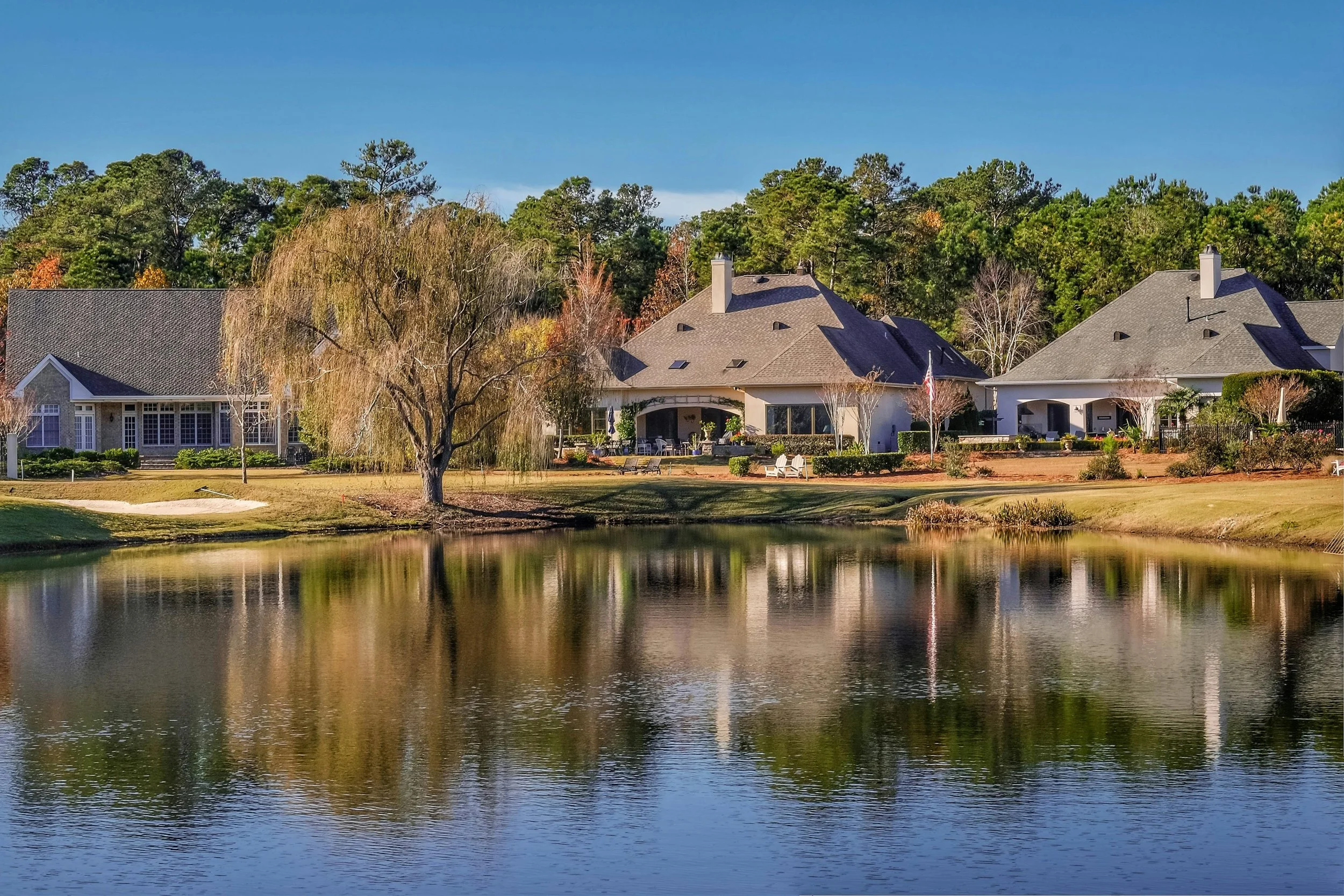 alabama lake neighborhood with a willow tree