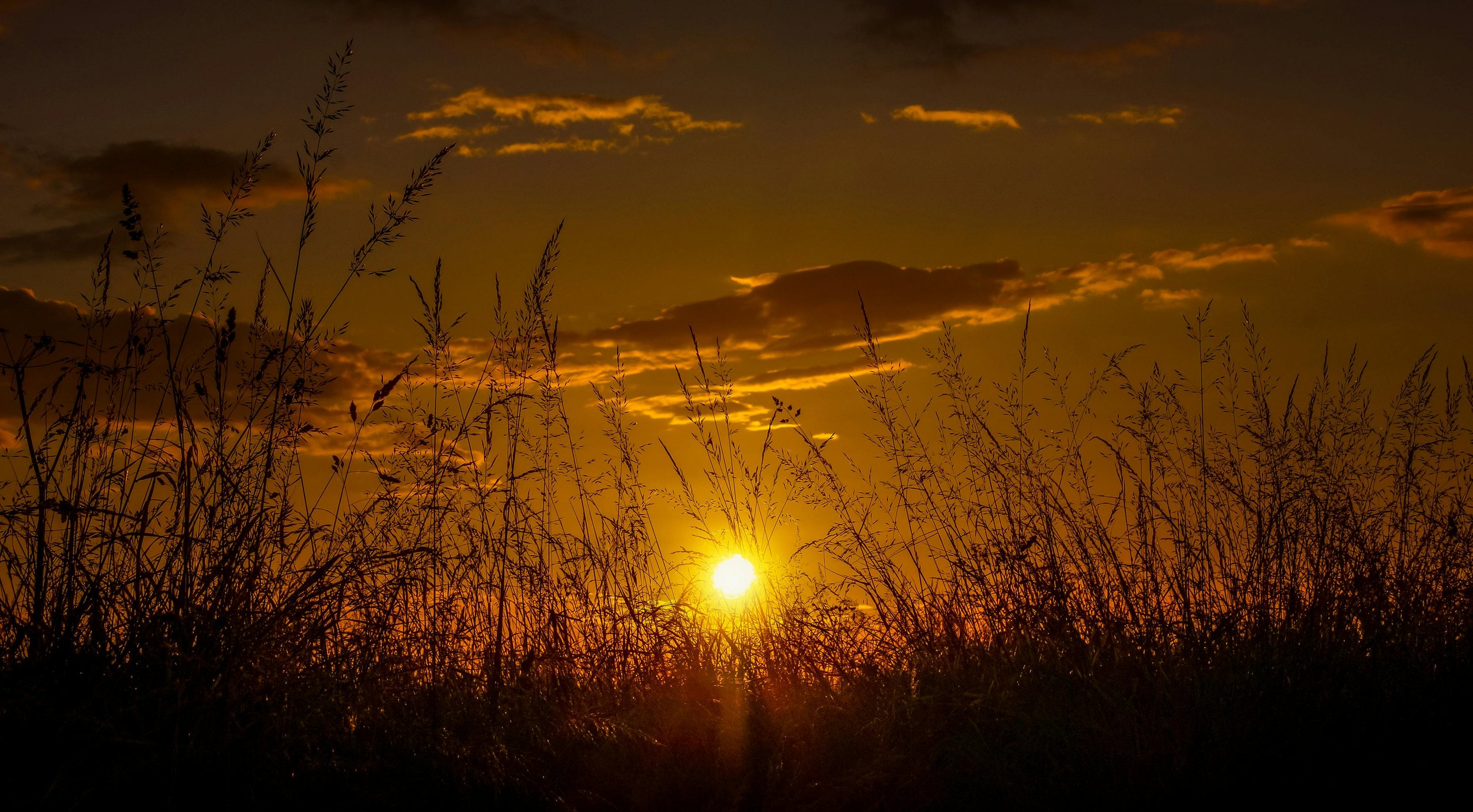 alabama sun set over grassy field