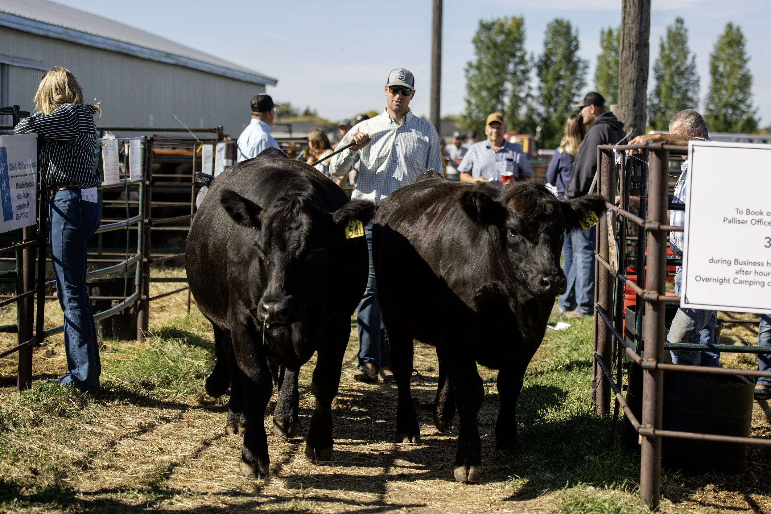 Ranchman's Ridin' & Recitin'