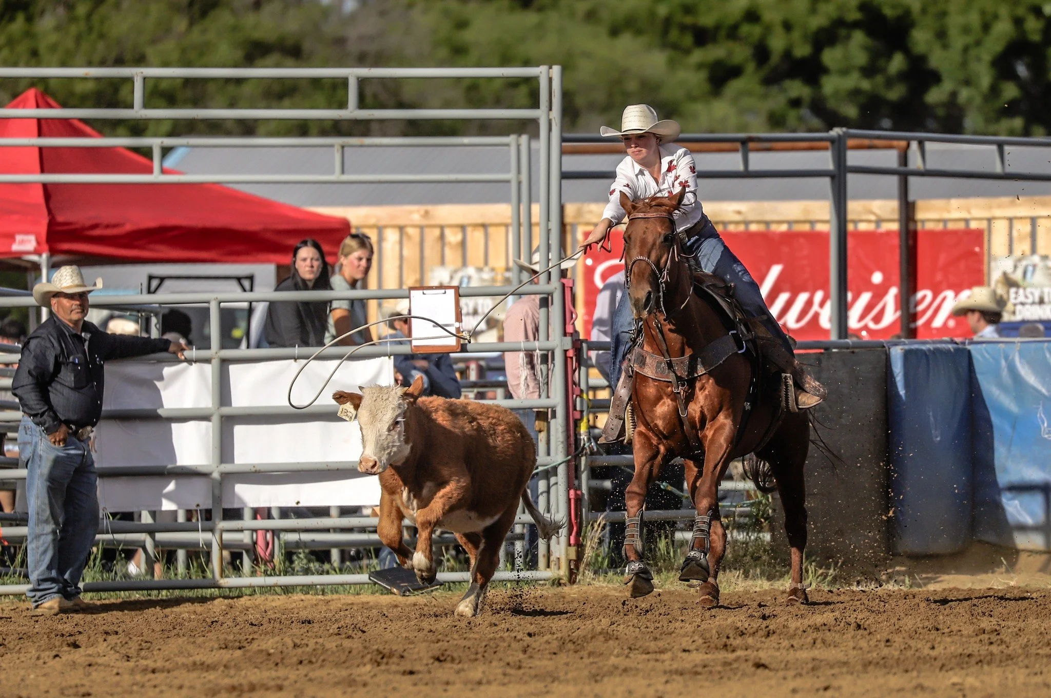 🎉 SPONSOR SPOTLIGHT: LABATT 🎉
A big thank you to Labatt Breweries of Canada for being a major sponsor of the CCA Rodeo at this year&rsquo;s Frontier Days and for helping us keep the good times rolling across the grounds! 🐎🎶
From the action-packed
