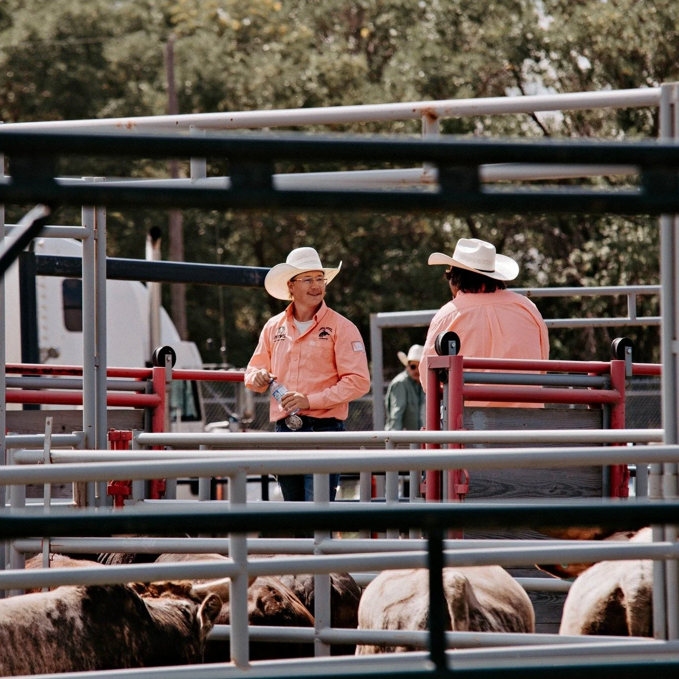 🌾 Be Part of the Small Group That Makes a Big Difference 🌾

On March 9 at 6:30 PM, the Swift Current Ag &amp; Ex AGM opens the door to a unique opportunity &mdash; joining a dedicated team of leaders who help shape some of our community&rsquo;s mos