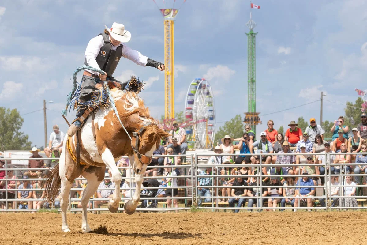 Get ready for one of the biggest weeks of the summer&mdash;Frontier Days is almost here! 🎡🤠

🎤 Grandstand Lineup:
Thursday, June 25: @qdmcdick + @funnyfarmcomedysk 
Friday, June 26: @theroadhammers + @tonystevensmusic 
Saturday, June 27: @bedofros